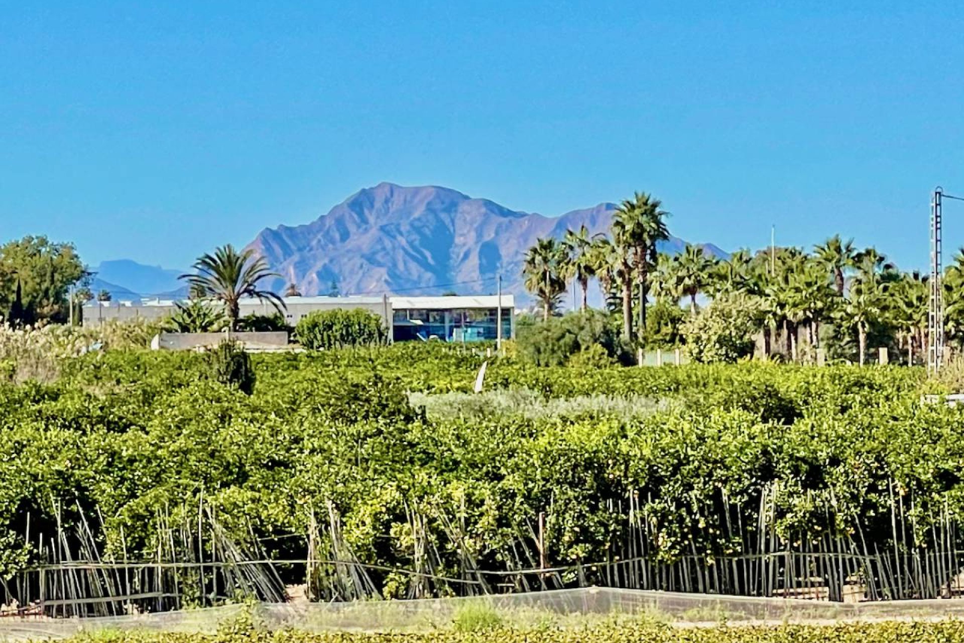 Resale - Villa - Guardamar del Segura