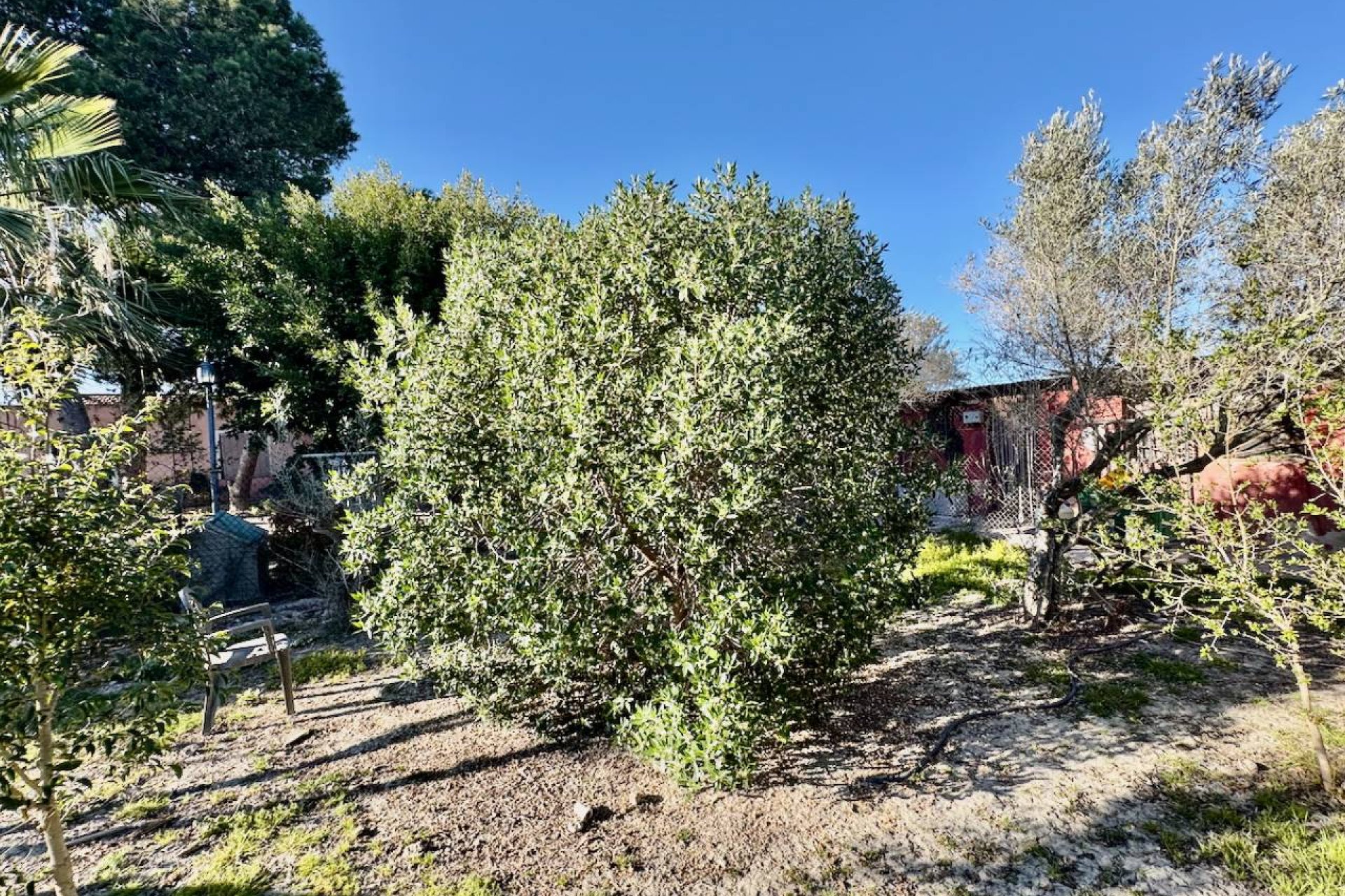 Resale - Villa - Guardamar del Segura