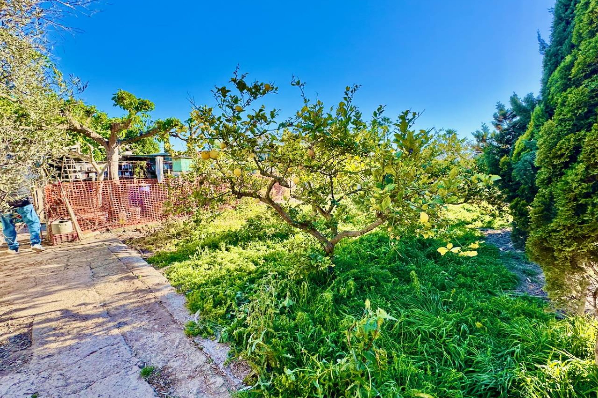 Resale - Villa - Guardamar del Segura