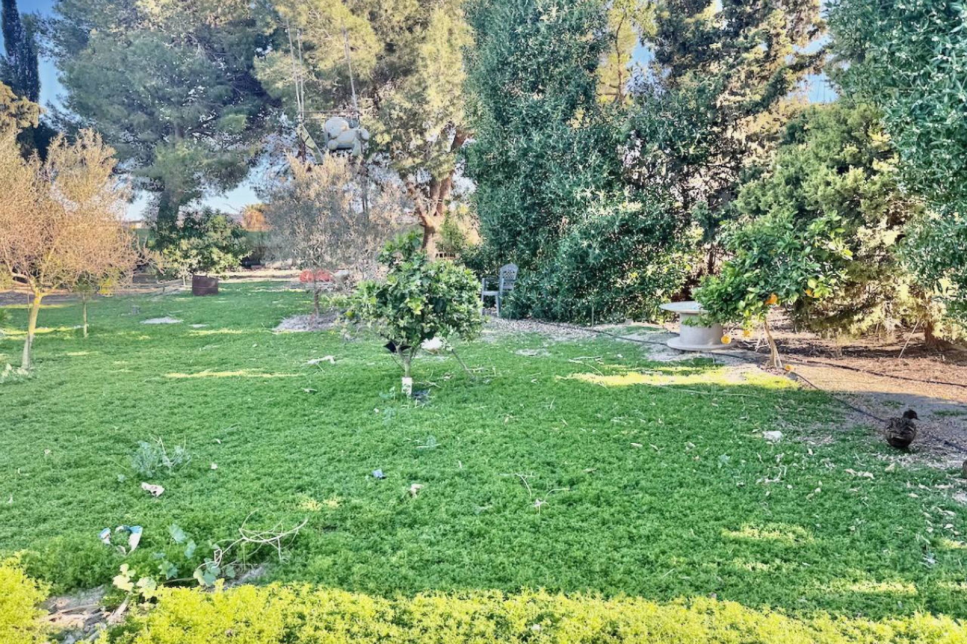 Resale - Villa - Guardamar del Segura