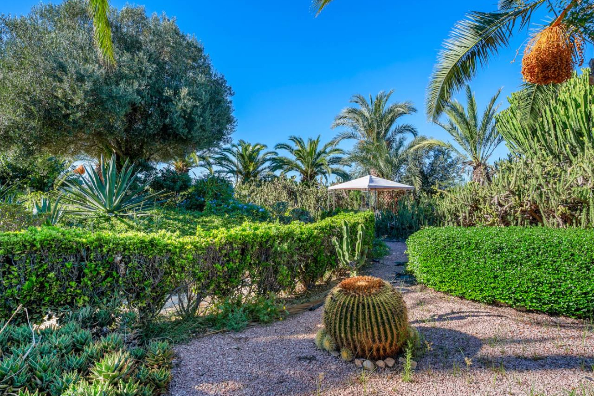 Resale - Villa - Los Montesinos