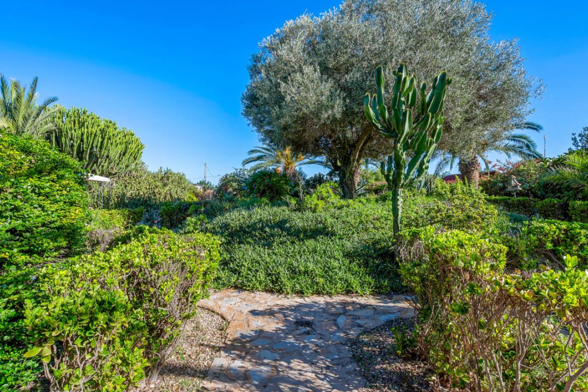 Resale - Villa - Los Montesinos