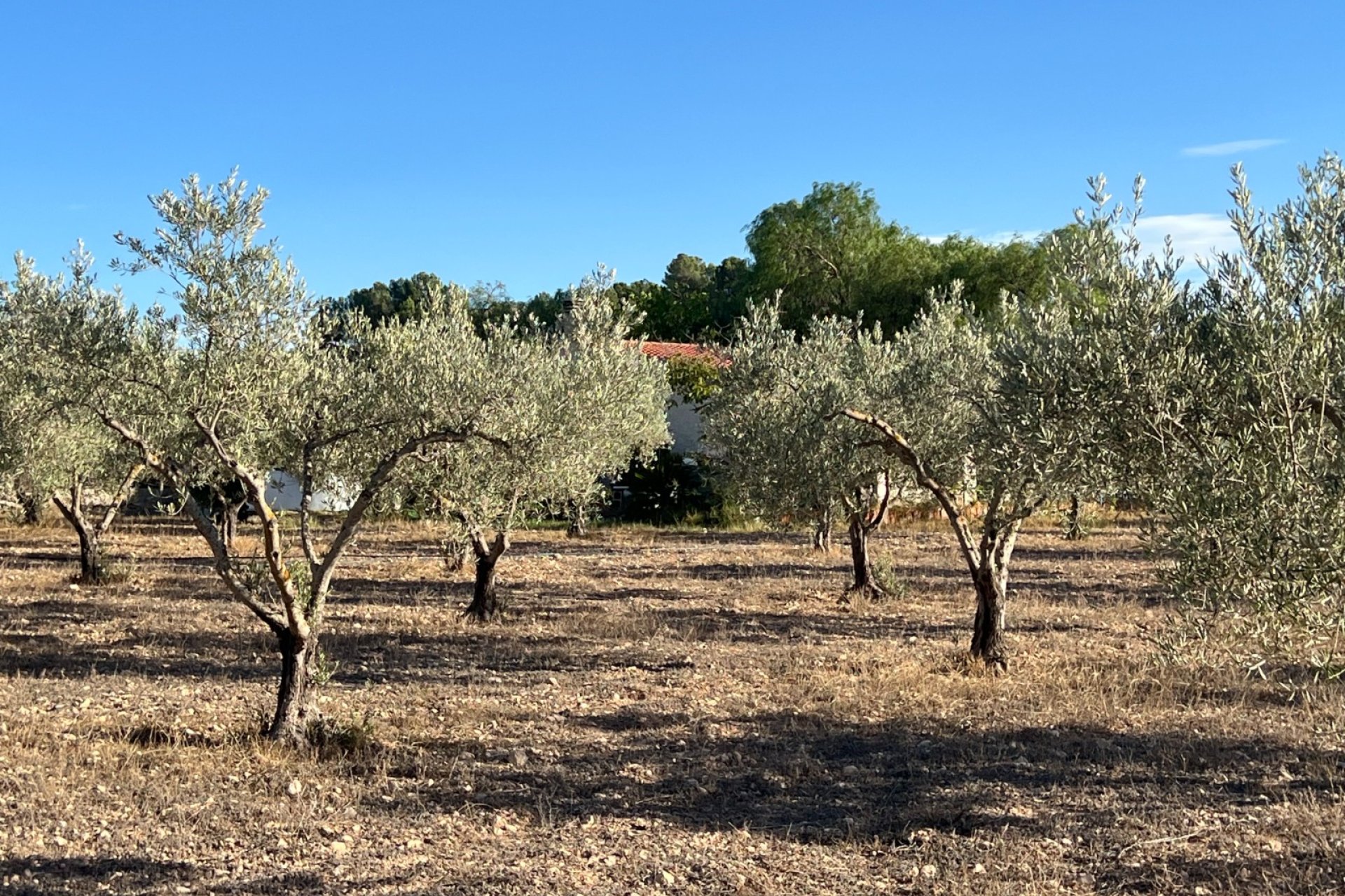 Resale - Villa - Sax