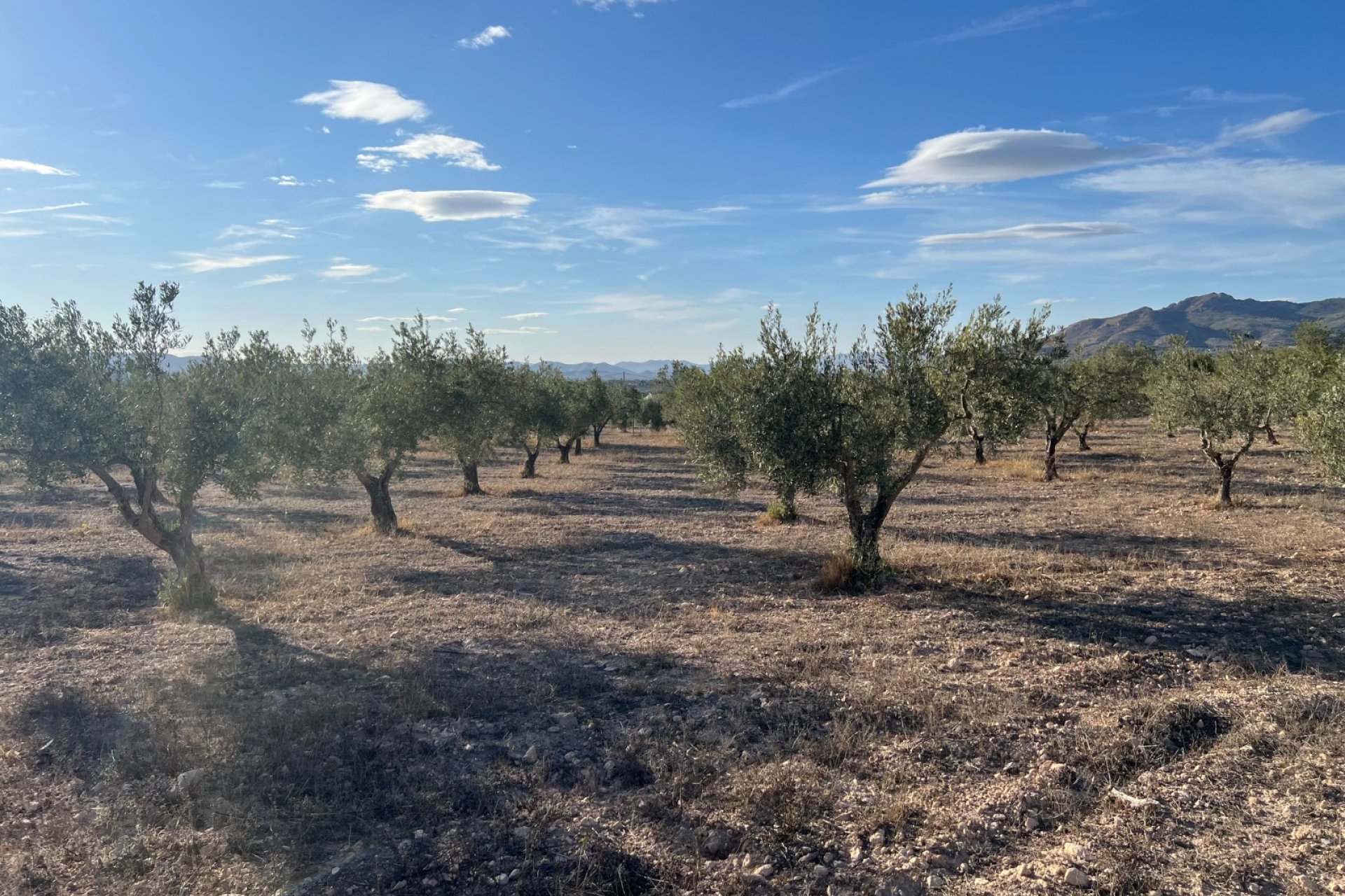 Resale - Villa - Sax