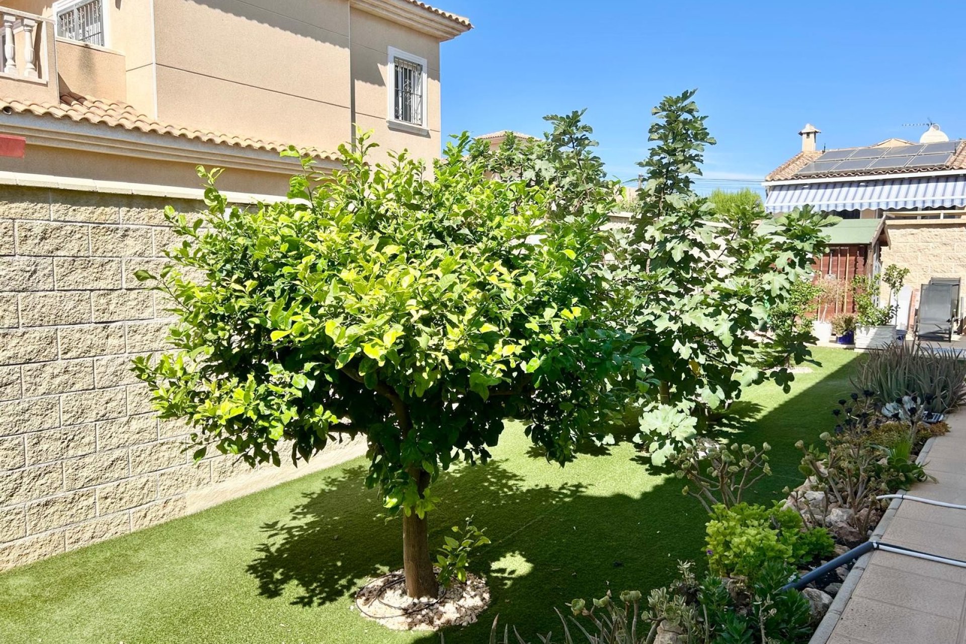 Resale - Villa - Torrevieja - La Siesta