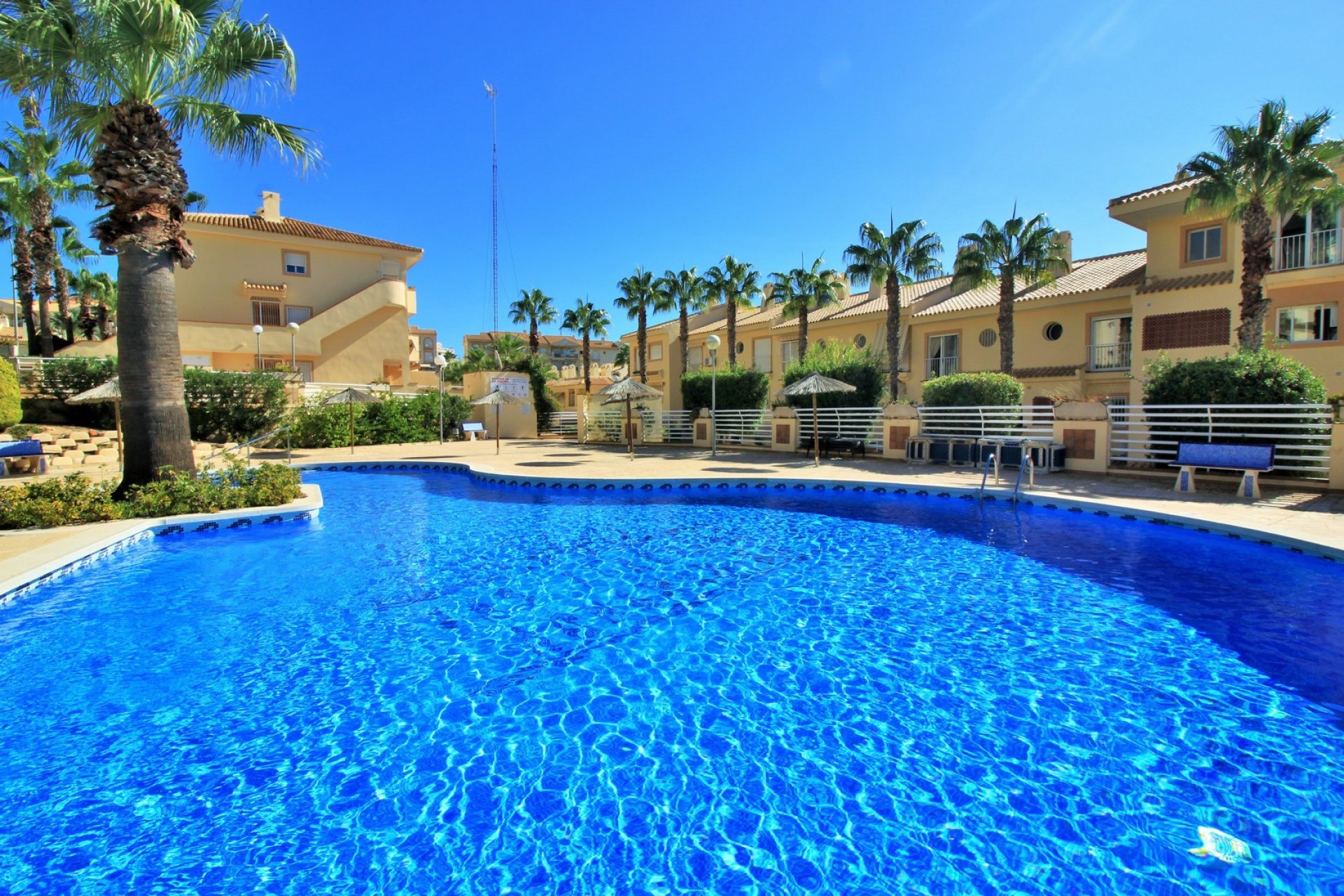 Reventa - Apartamento / piso - Cabo Roig