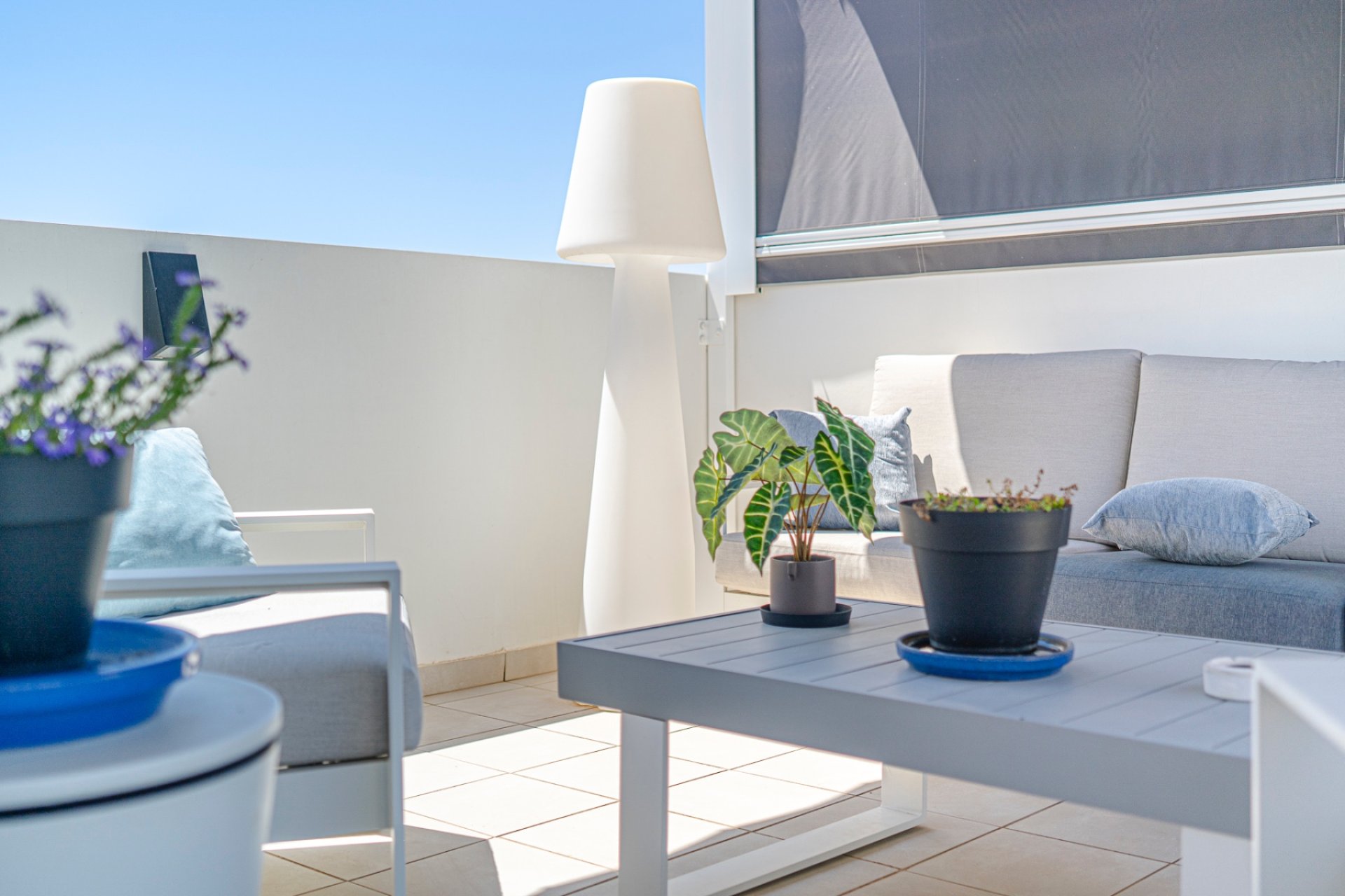 Reventa - Apartamento / piso - Ciudad quesada - Ciudad Quesada