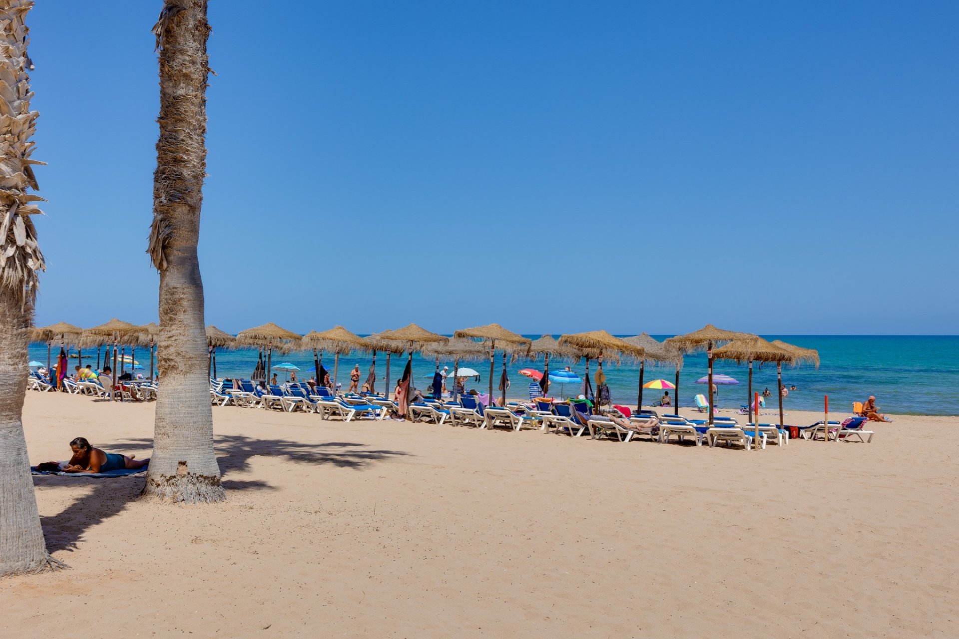 Reventa - Apartamento / piso - La Mata - Pueblo/ PLAYA