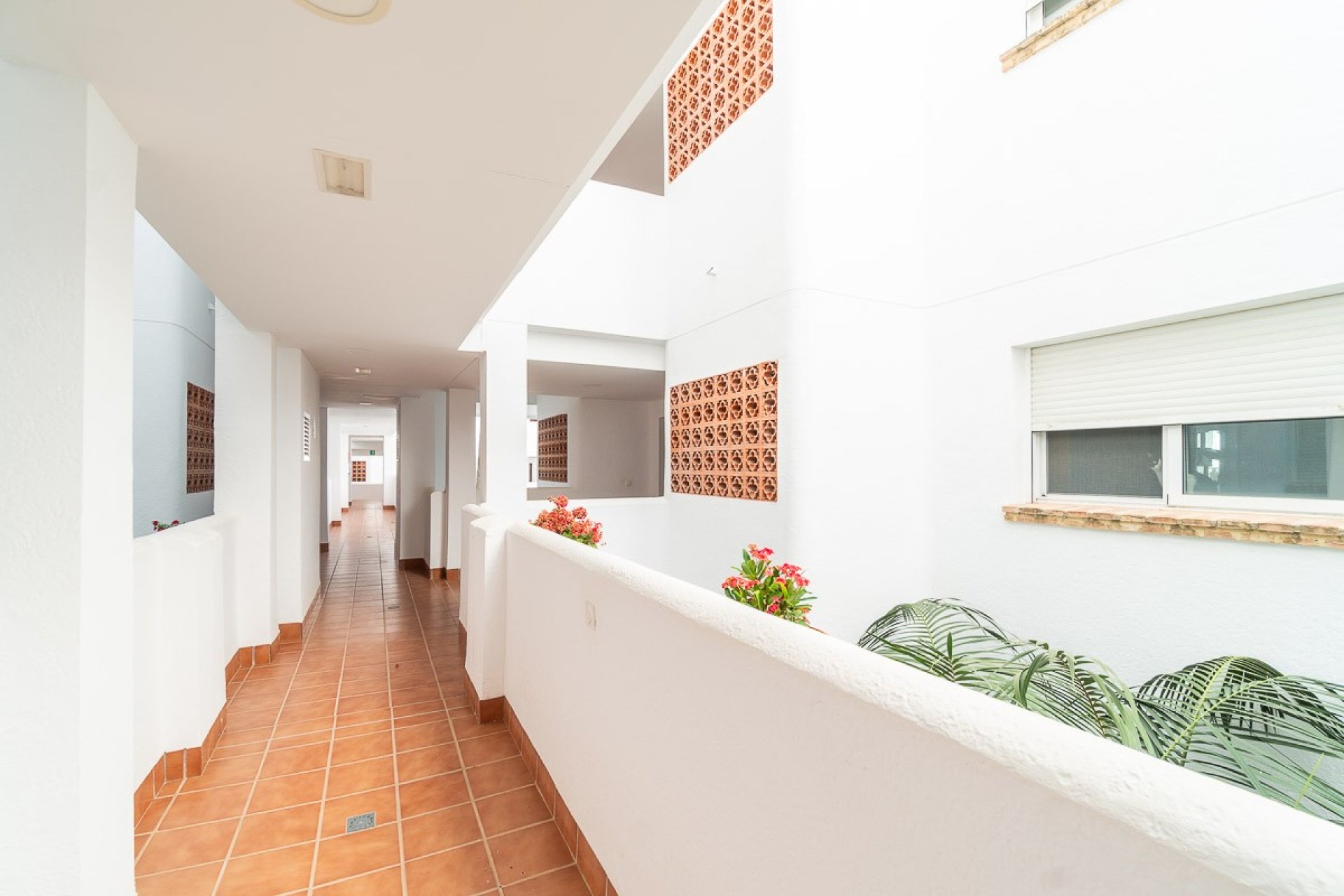 Reventa - Apartamento / piso - Orihuela Costa - Villamartín