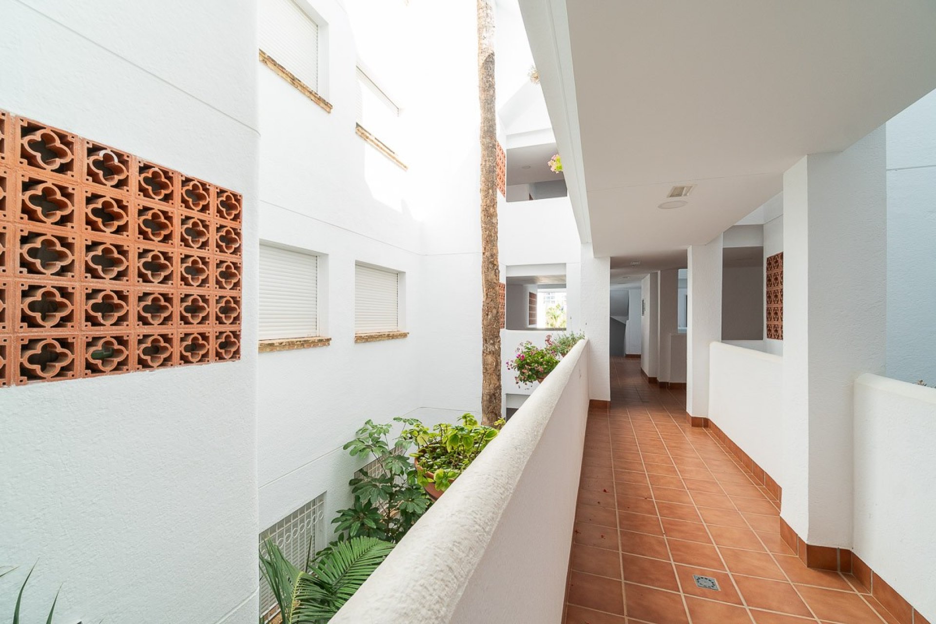 Reventa - Apartamento / piso - Orihuela Costa - Villamartín