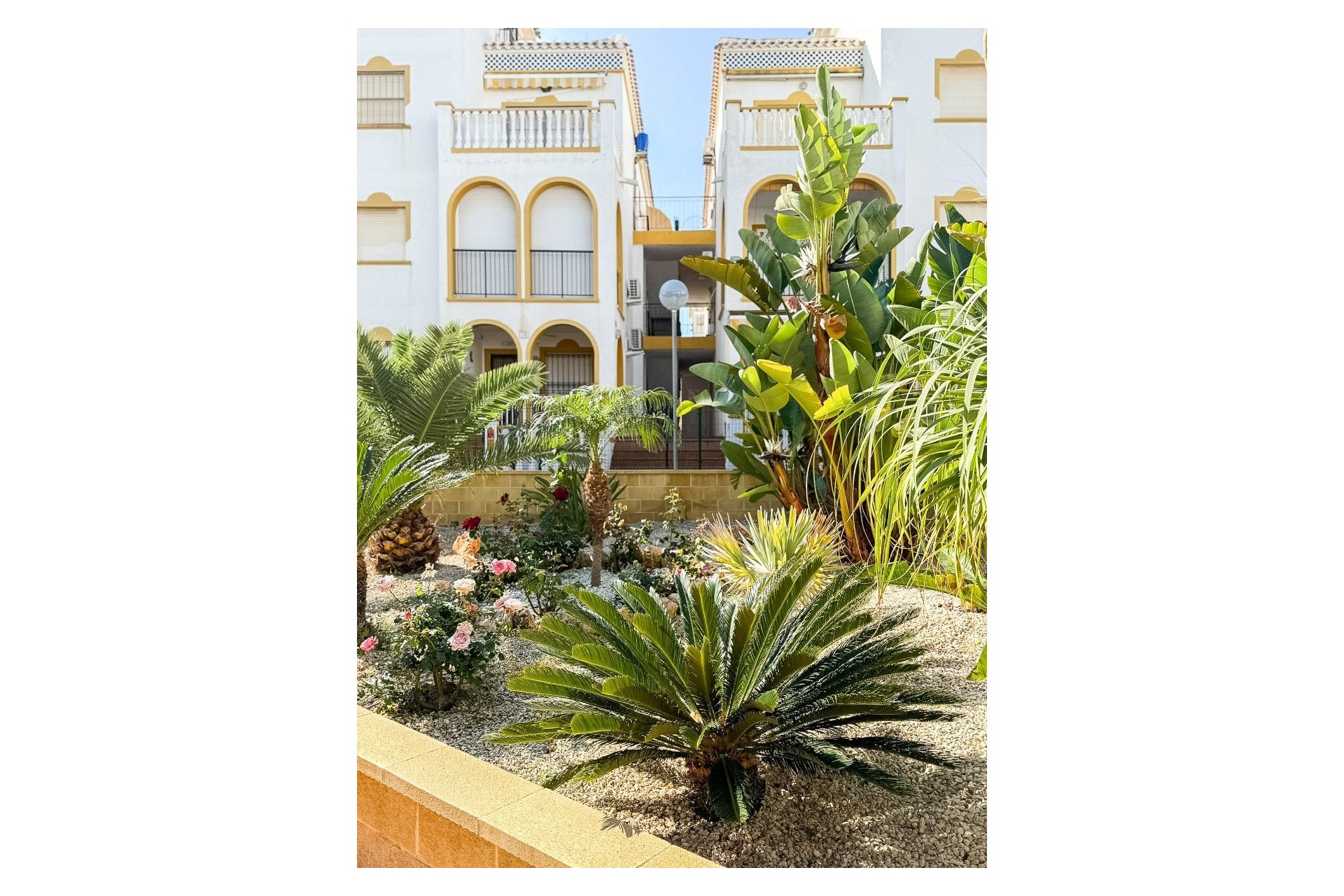 Reventa - Apartamento / piso - Torrevieja - La Mata