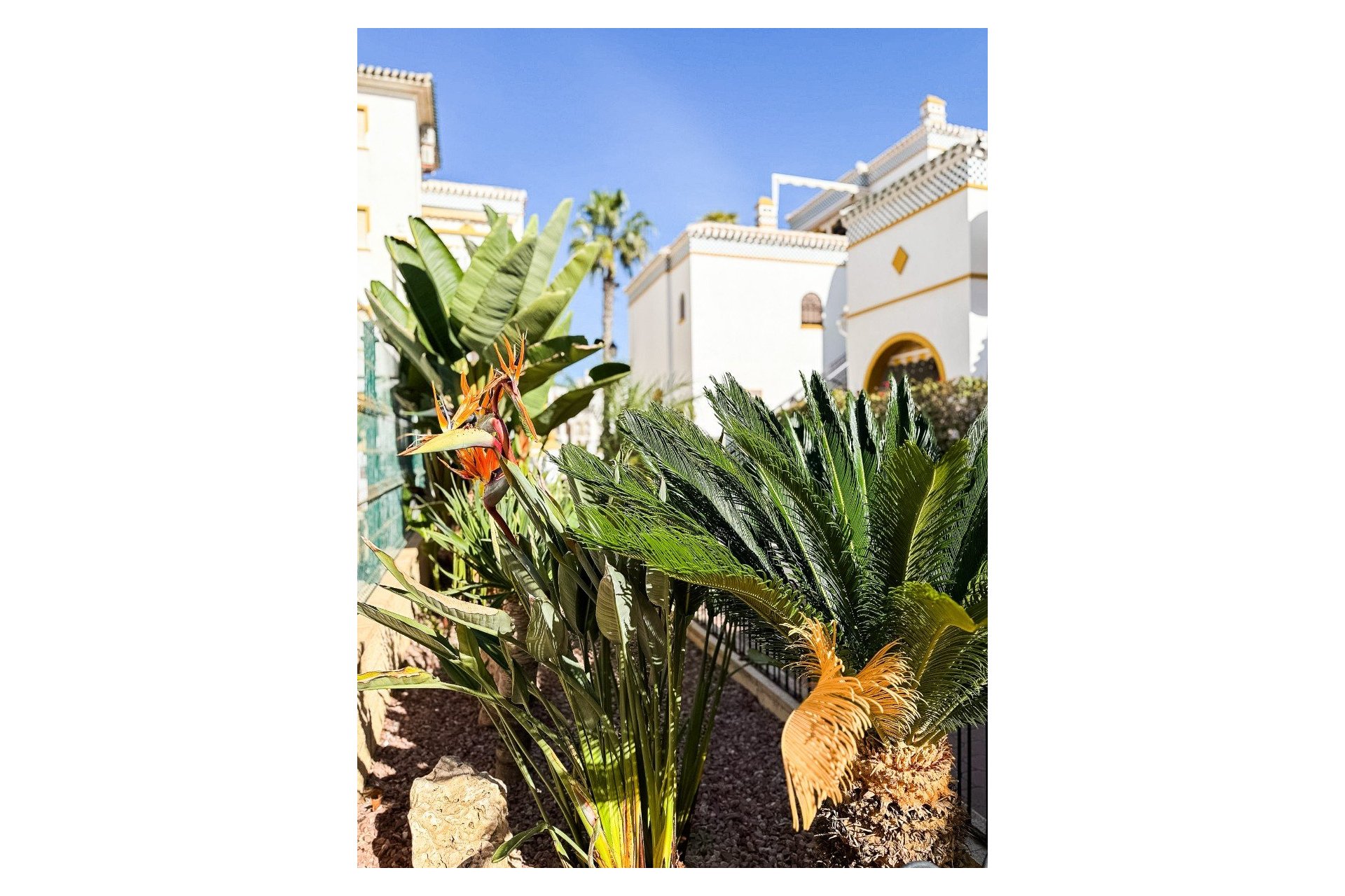 Reventa - Apartamento / piso - Torrevieja - La Mata