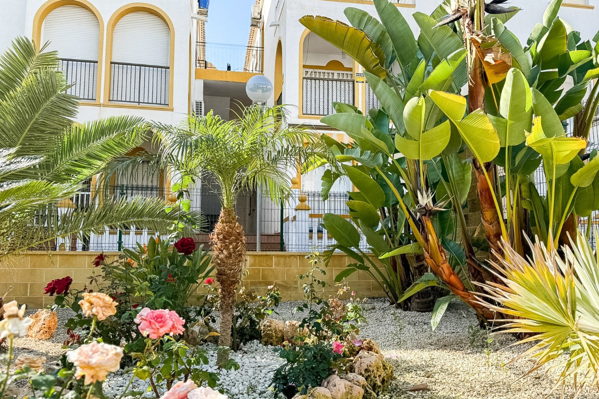 Reventa - Apartamento / piso - Torrevieja - La Mata