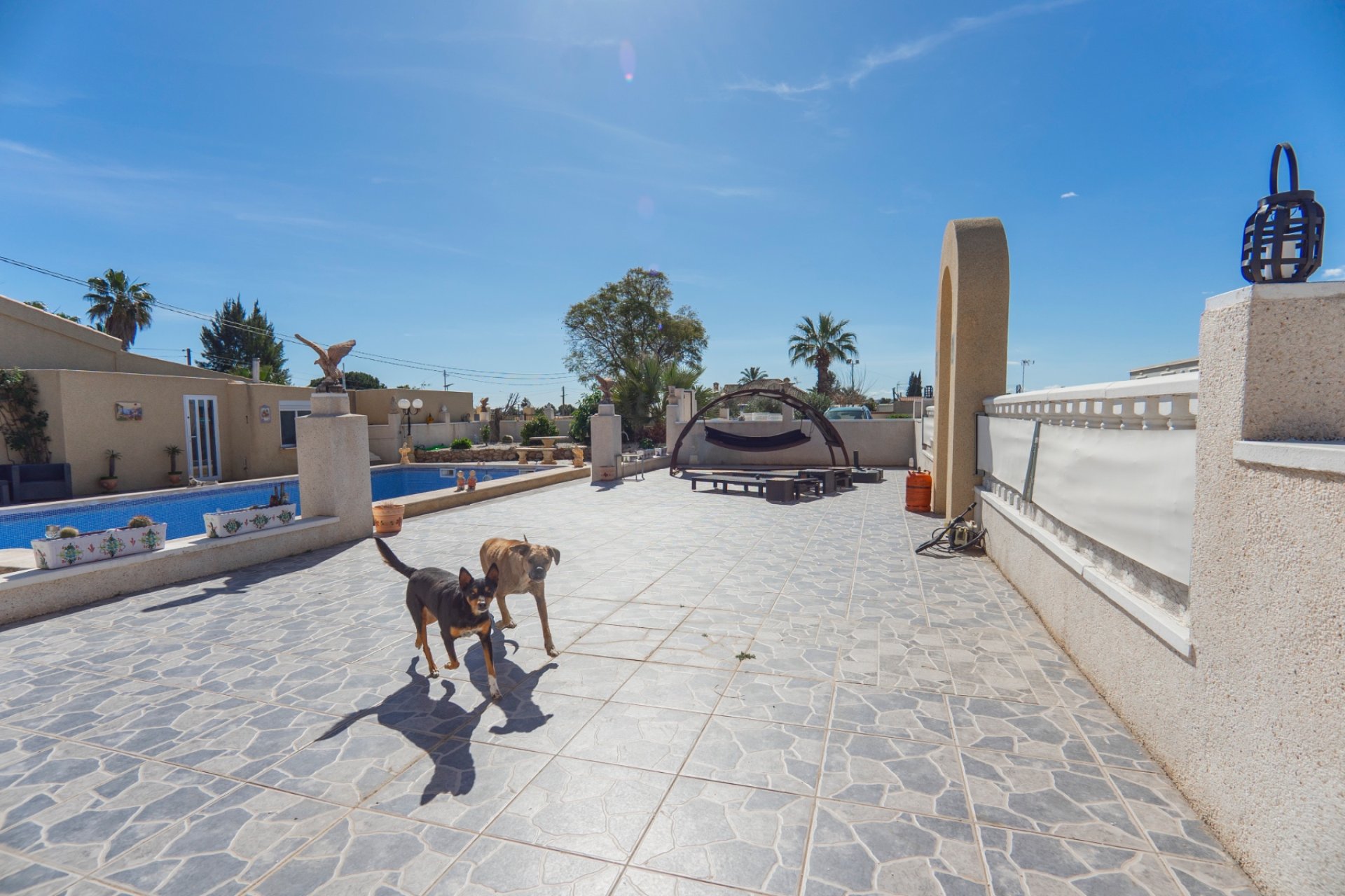 Reventa - Finca rústica - Los Montesinos