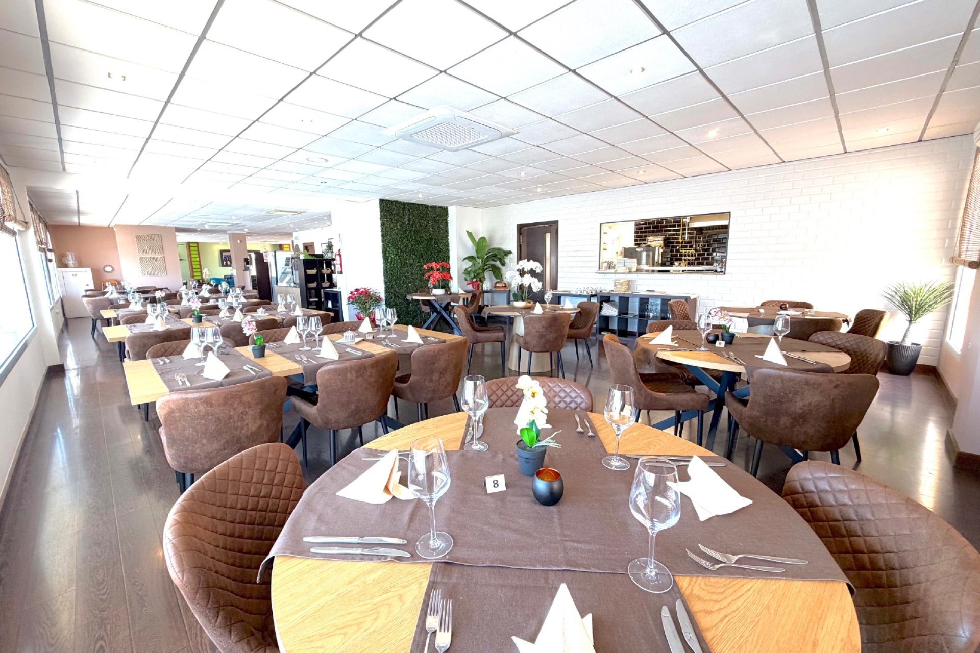 Reventa - Negocio - Ciudad quesada - Ciudad Quesada