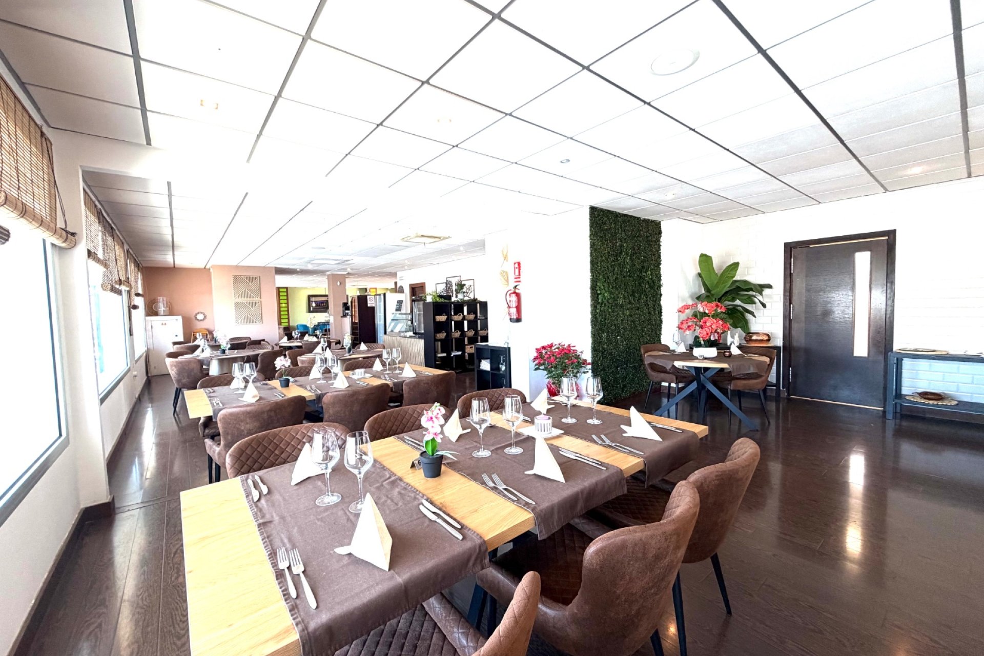 Reventa - Negocio - Ciudad quesada - Ciudad Quesada