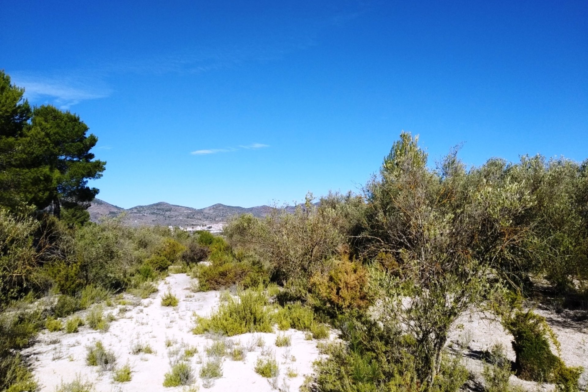 Reventa - Parcela / Terreno - Benimarfull