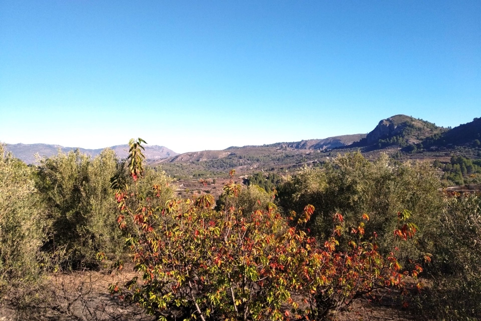 Reventa - Parcela / Terreno - Benimarfull