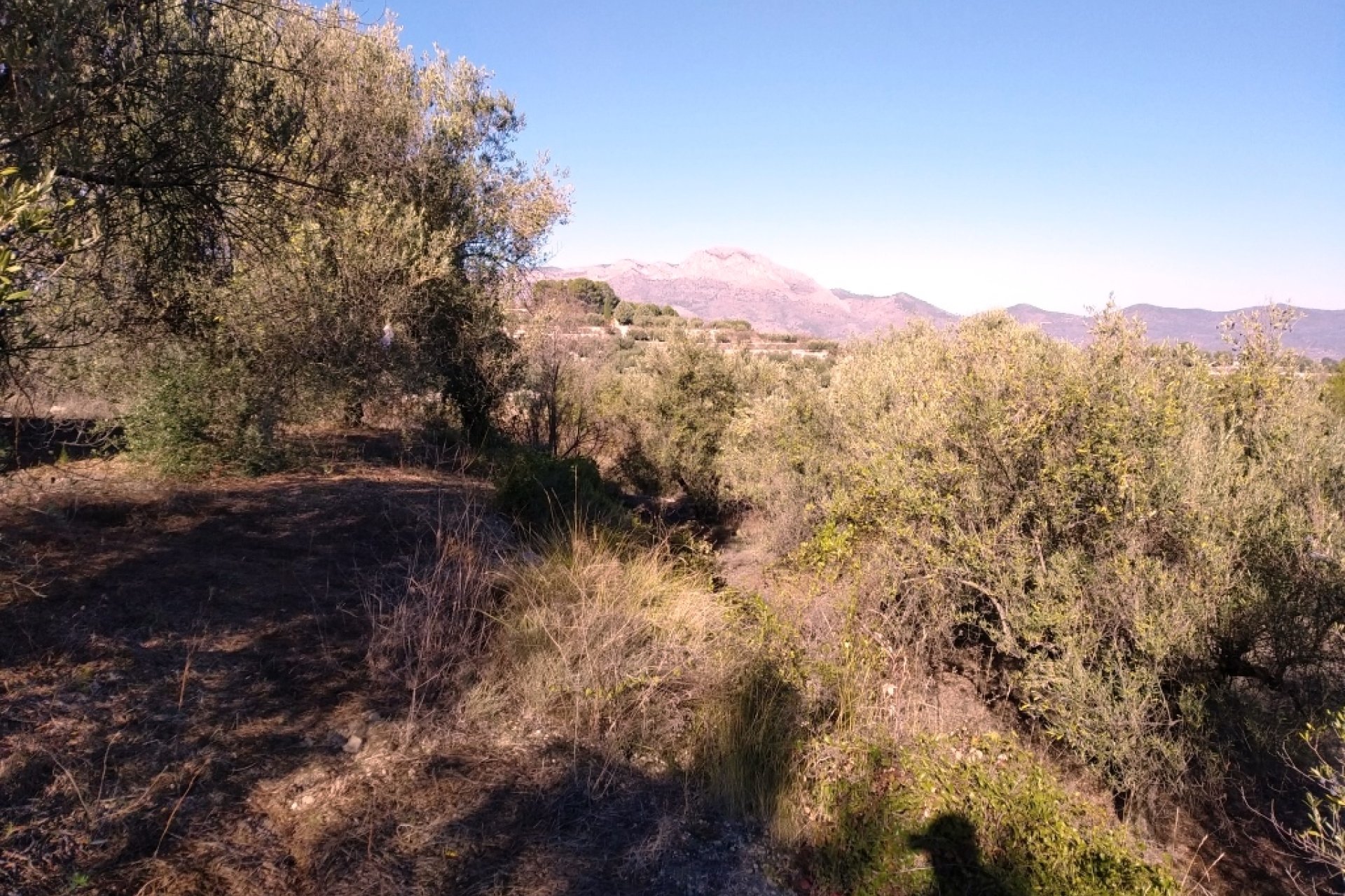 Reventa - Parcela / Terreno - Benimarfull