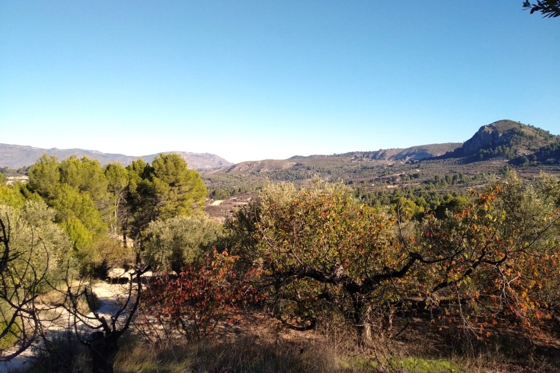 Reventa - Parcela / Terreno - Benimarfull