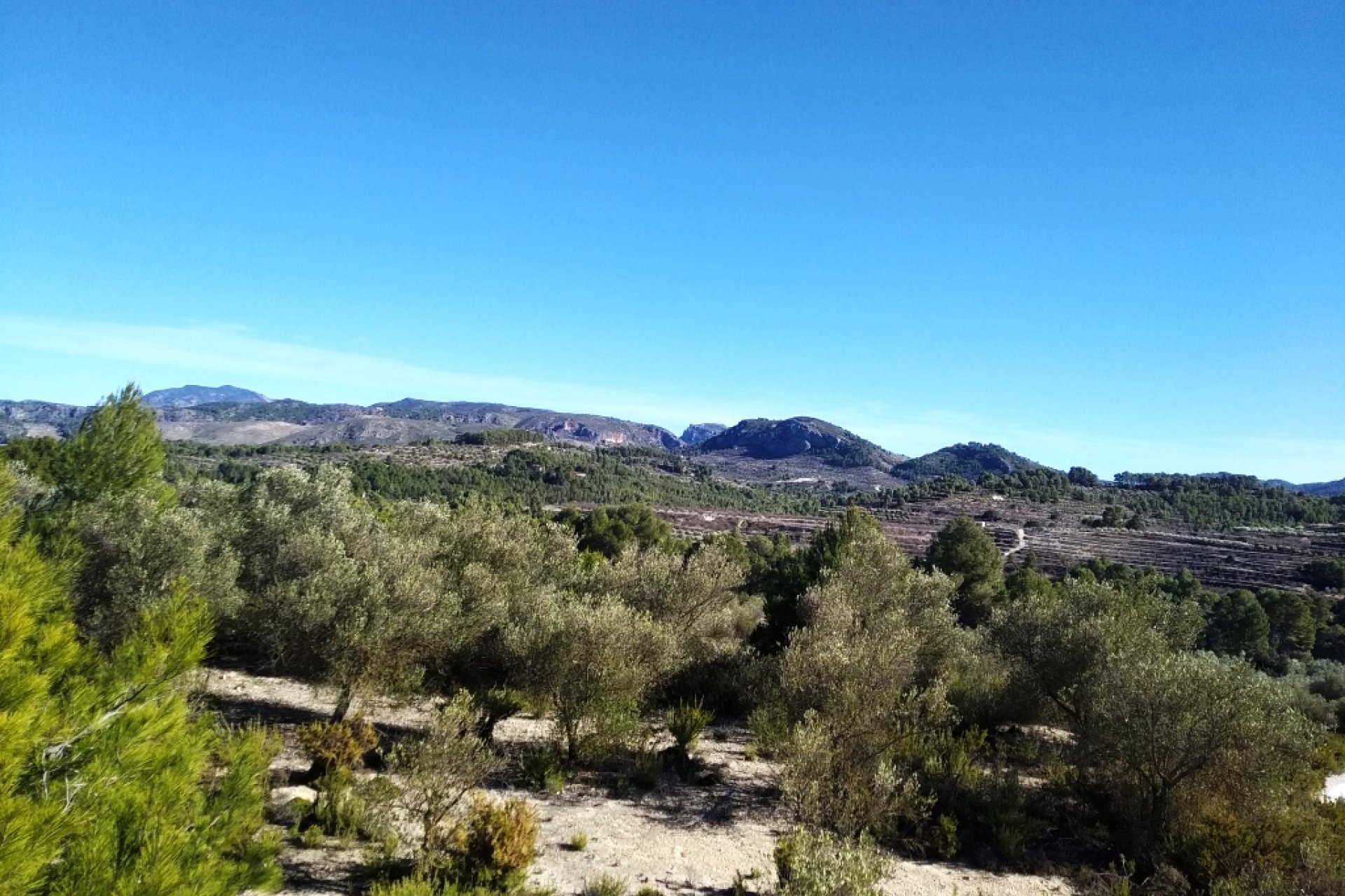 Reventa - Parcela / Terreno - Benimarfull