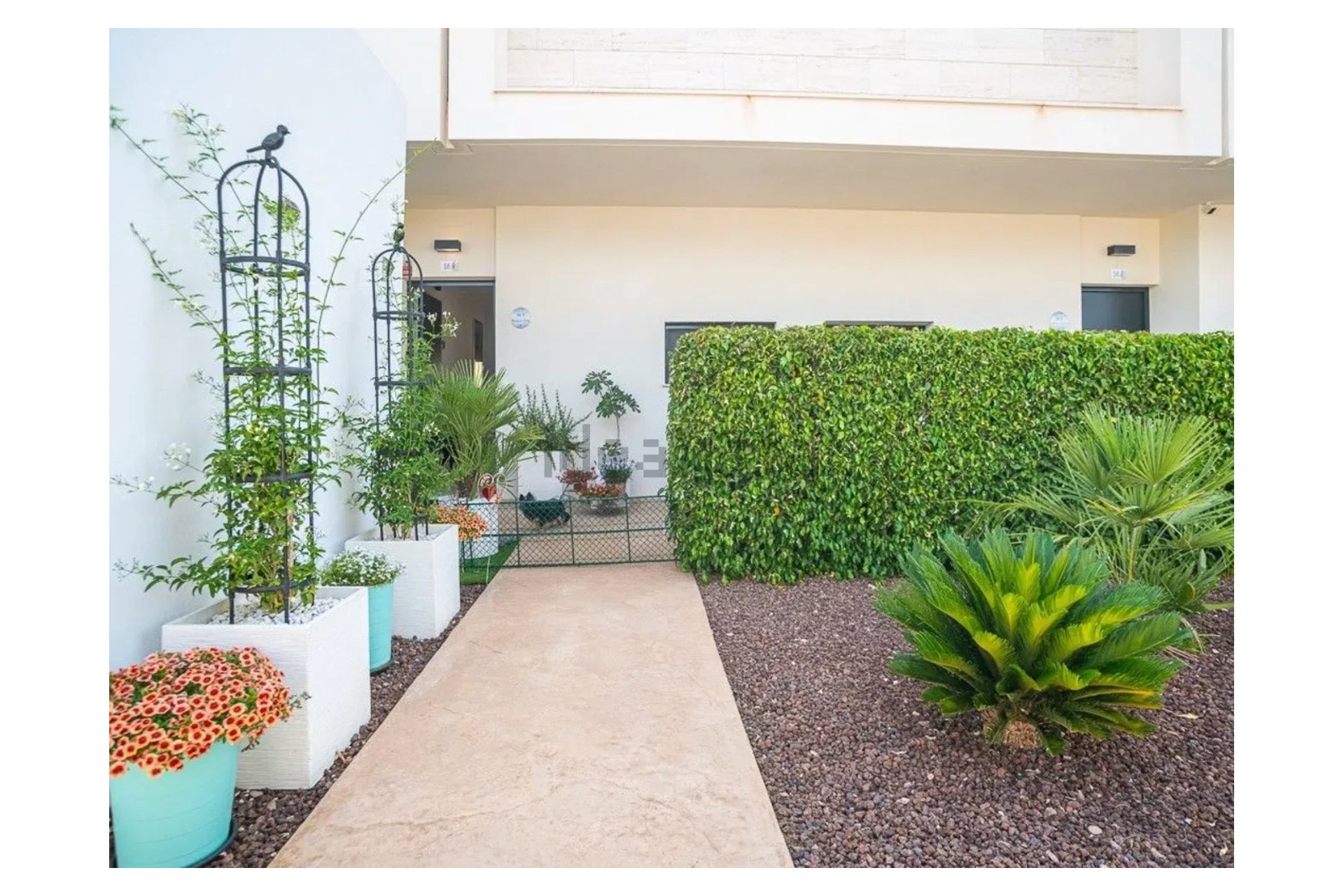 Reventa - Planta baja - Pilar de la Horadada - Lo Romero Golf