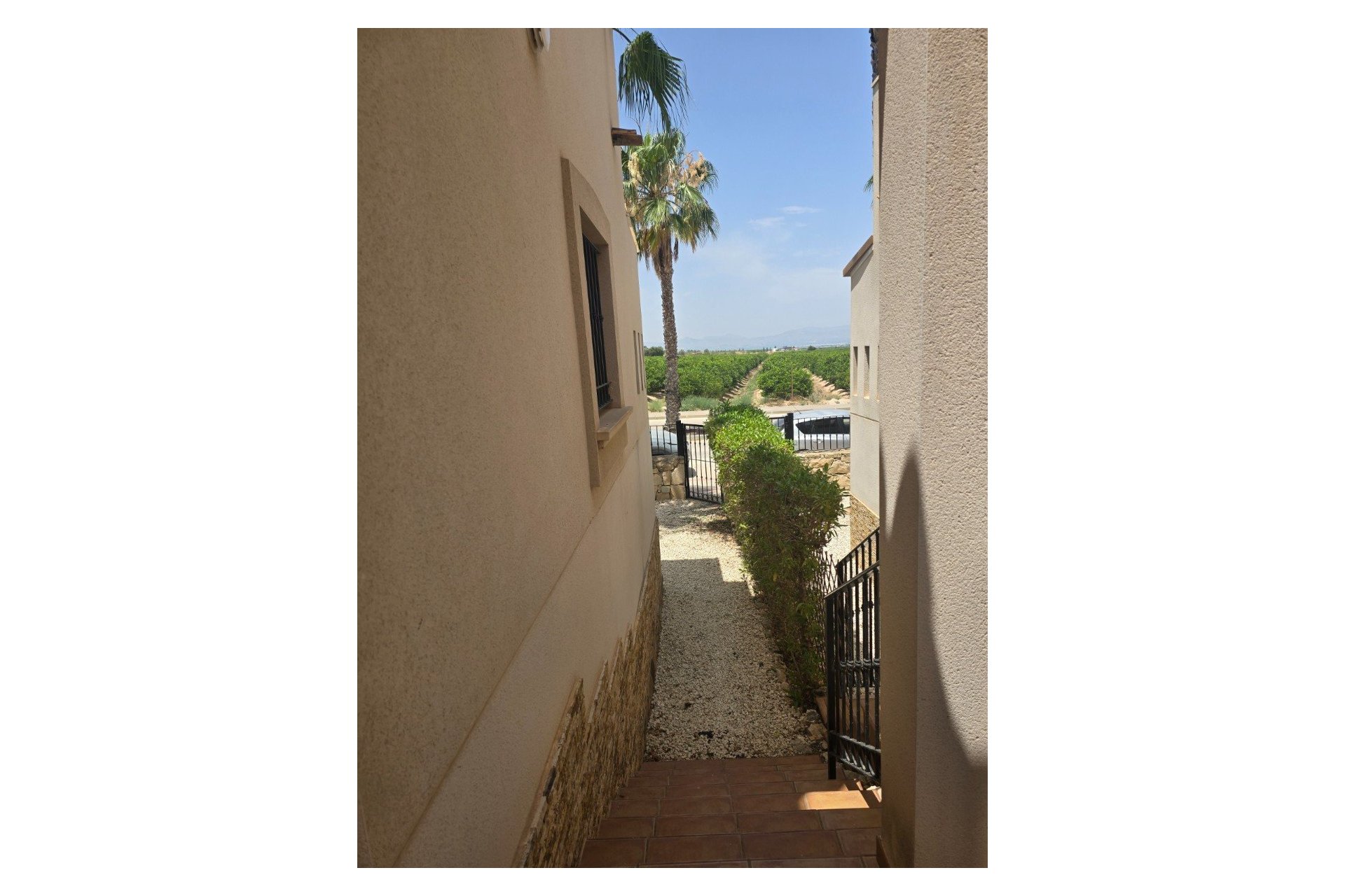 Reventa - Villa - Algorfa - La finca Golf