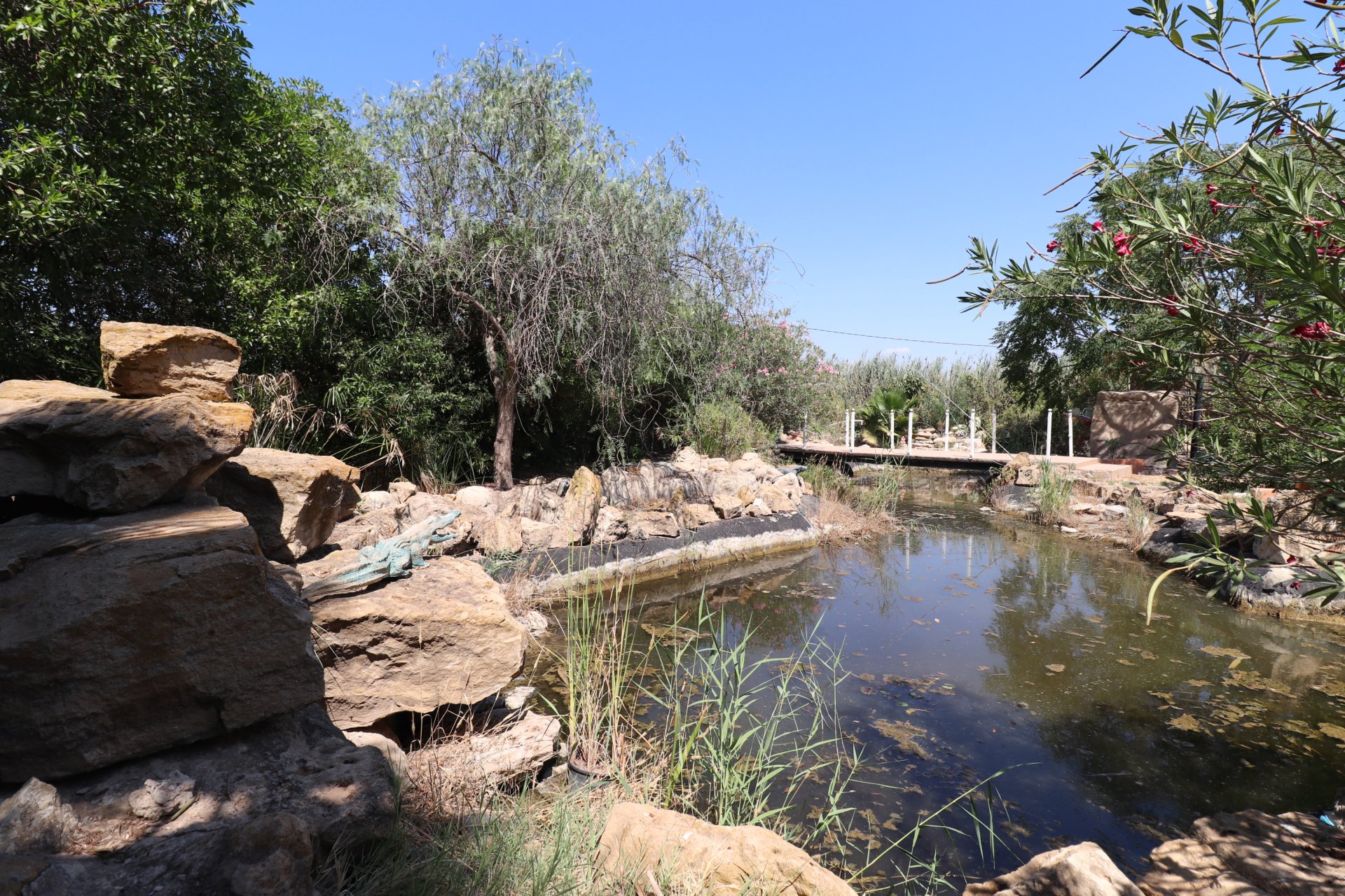 Reventa - Villa - Catral - Catral - Country