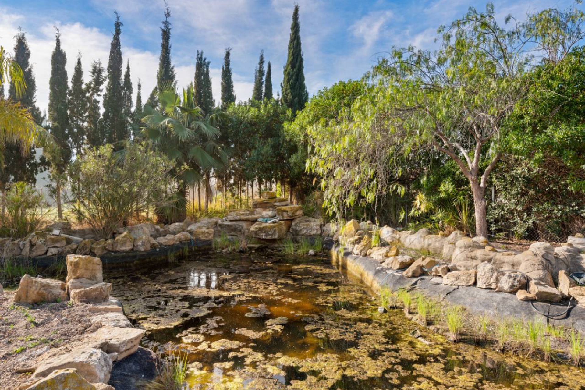 Reventa - Villa - Catral