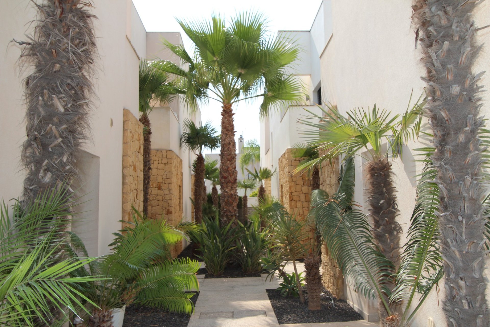 Reventa - Villa - Ciudad quesada - Doña Pepa