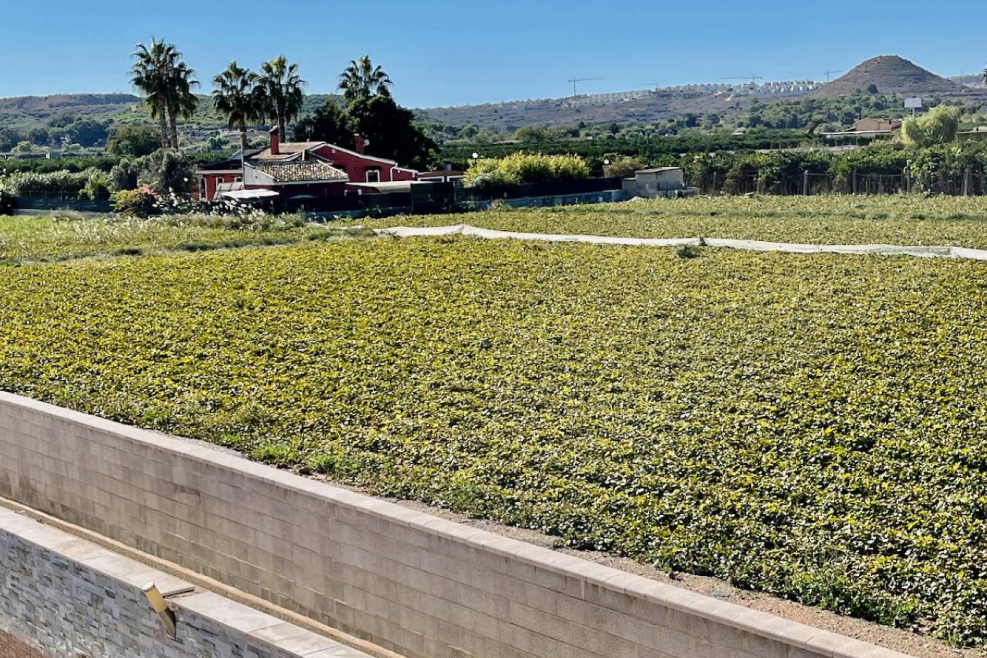 Reventa - Villa - Guardamar del Segura