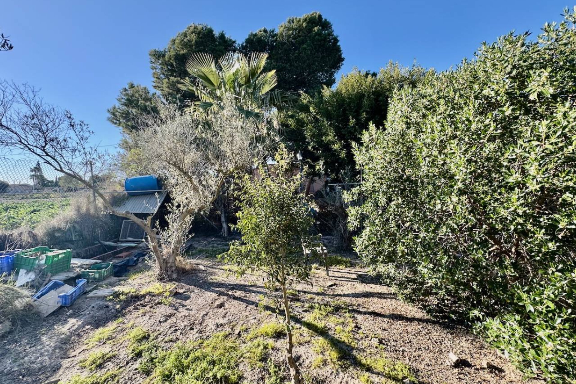 Reventa - Villa - Guardamar del Segura