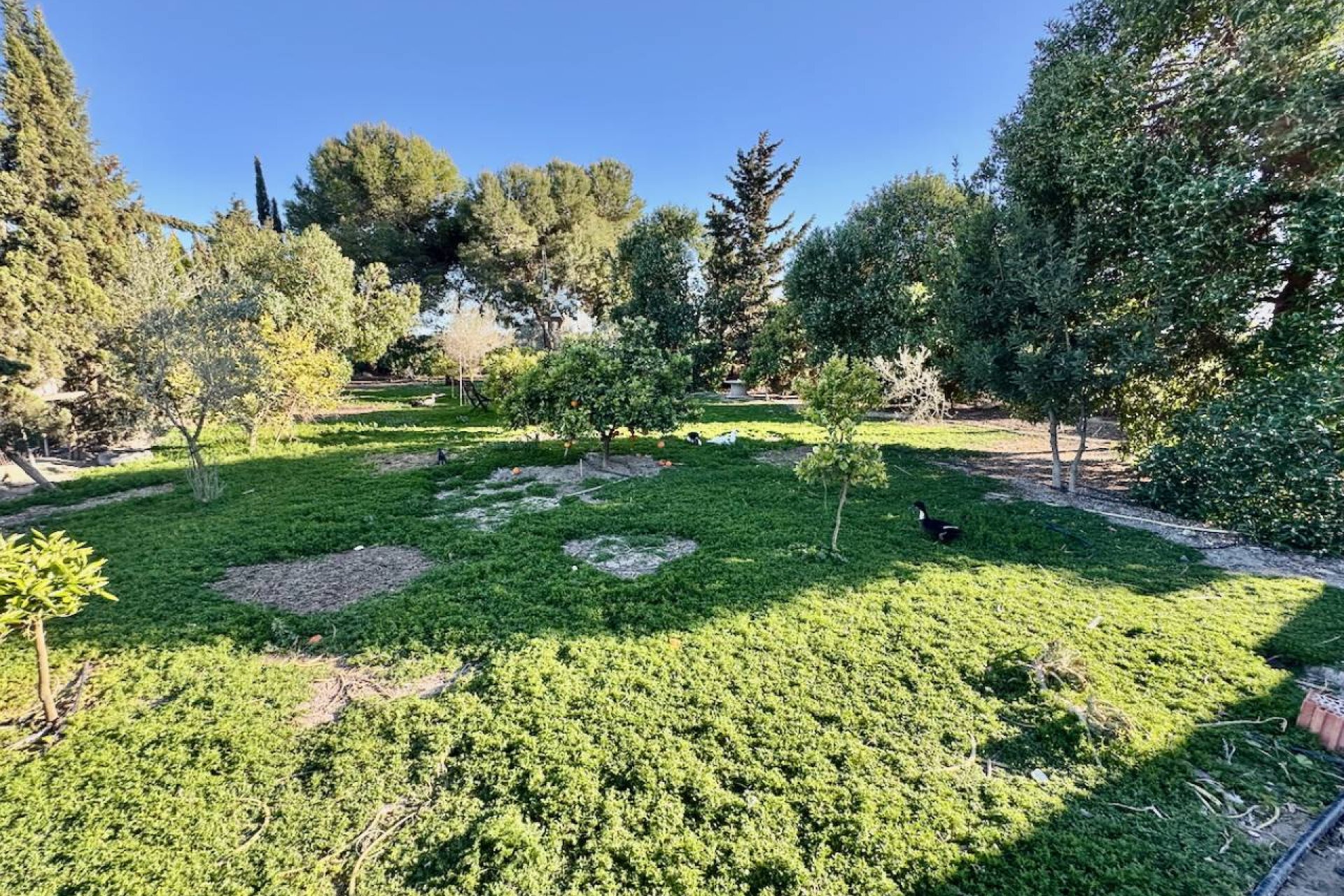 Reventa - Villa - Guardamar del Segura