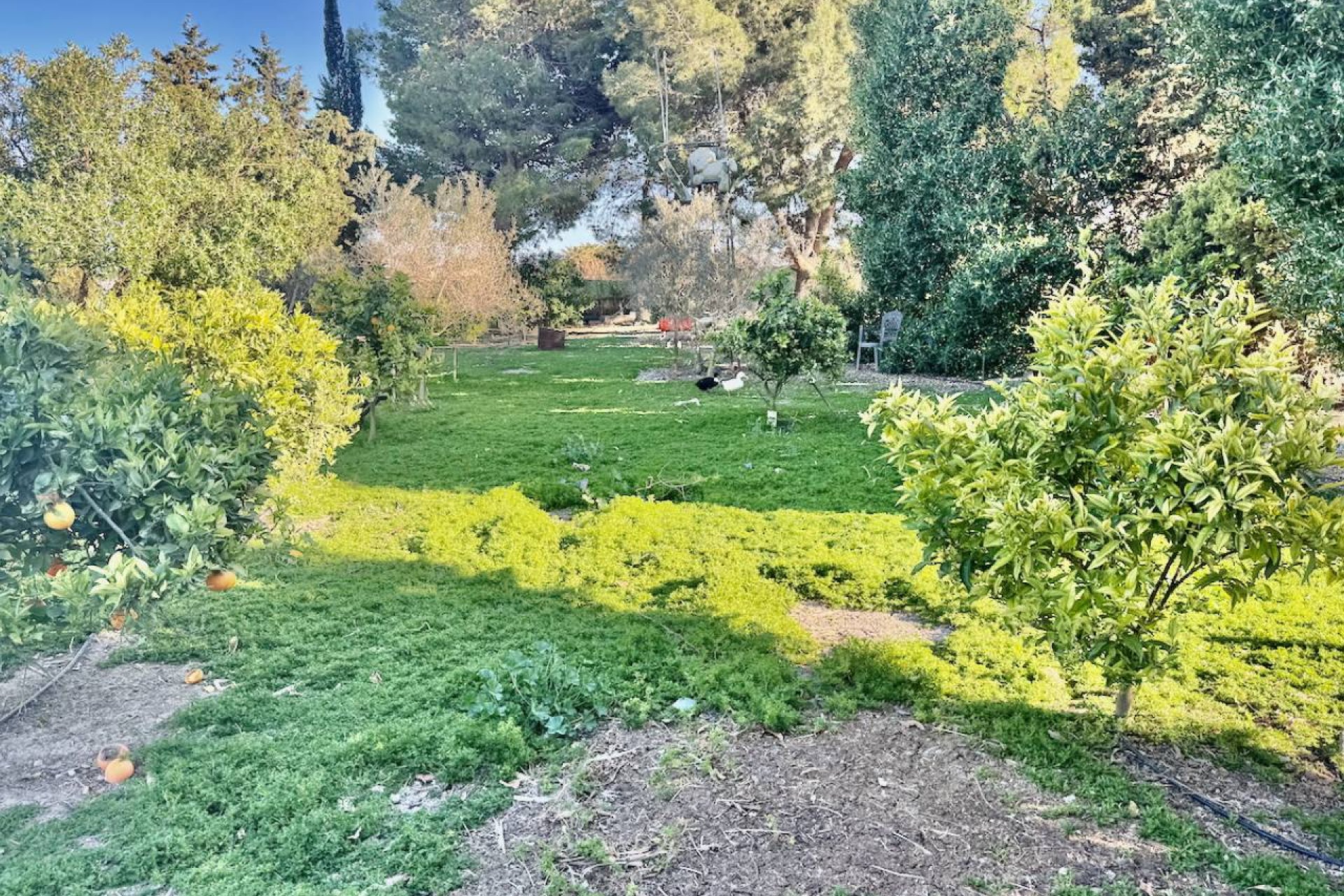 Reventa - Villa - Guardamar del Segura