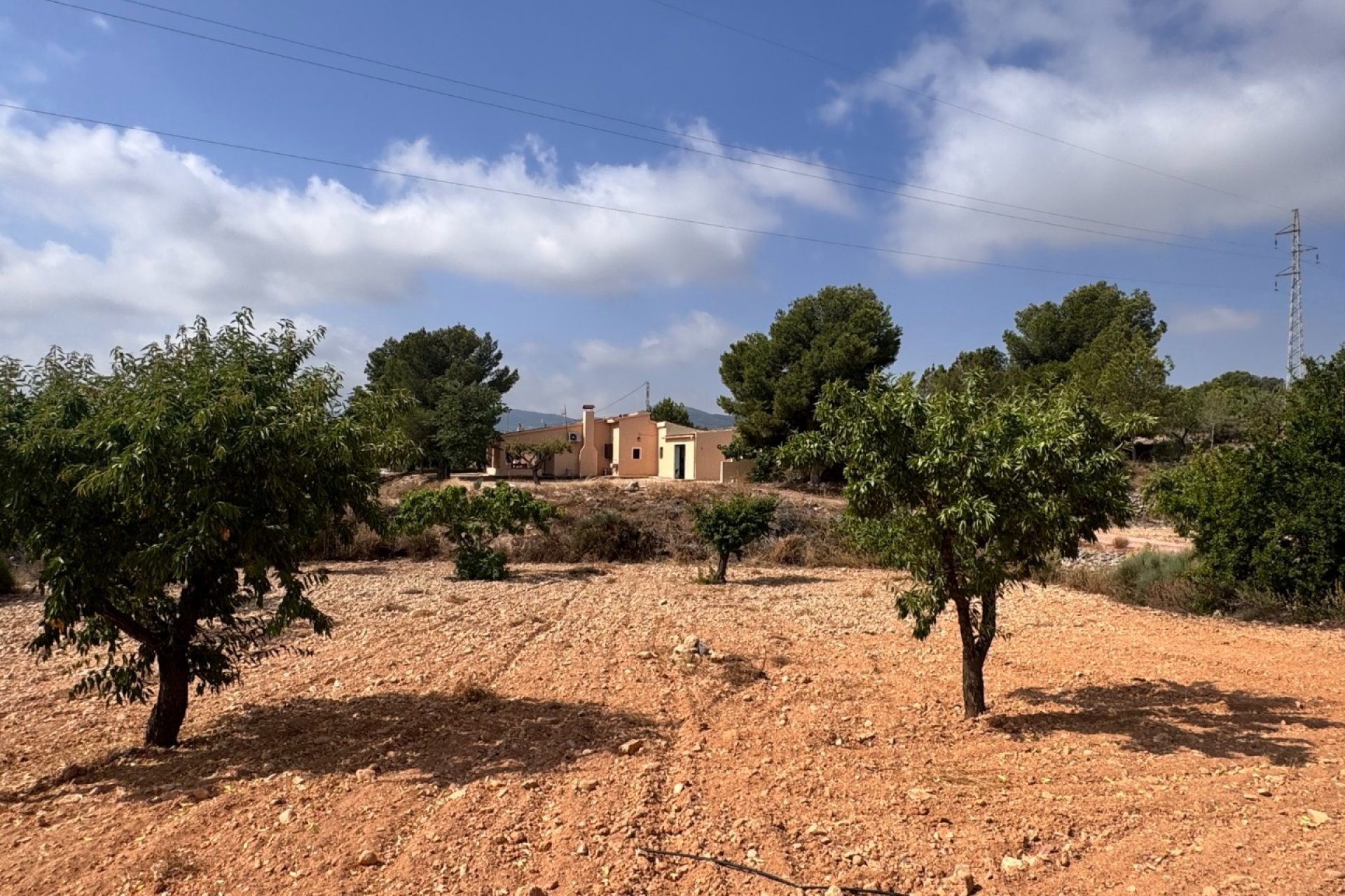 Reventa - Villa - Monóvar - Monovar