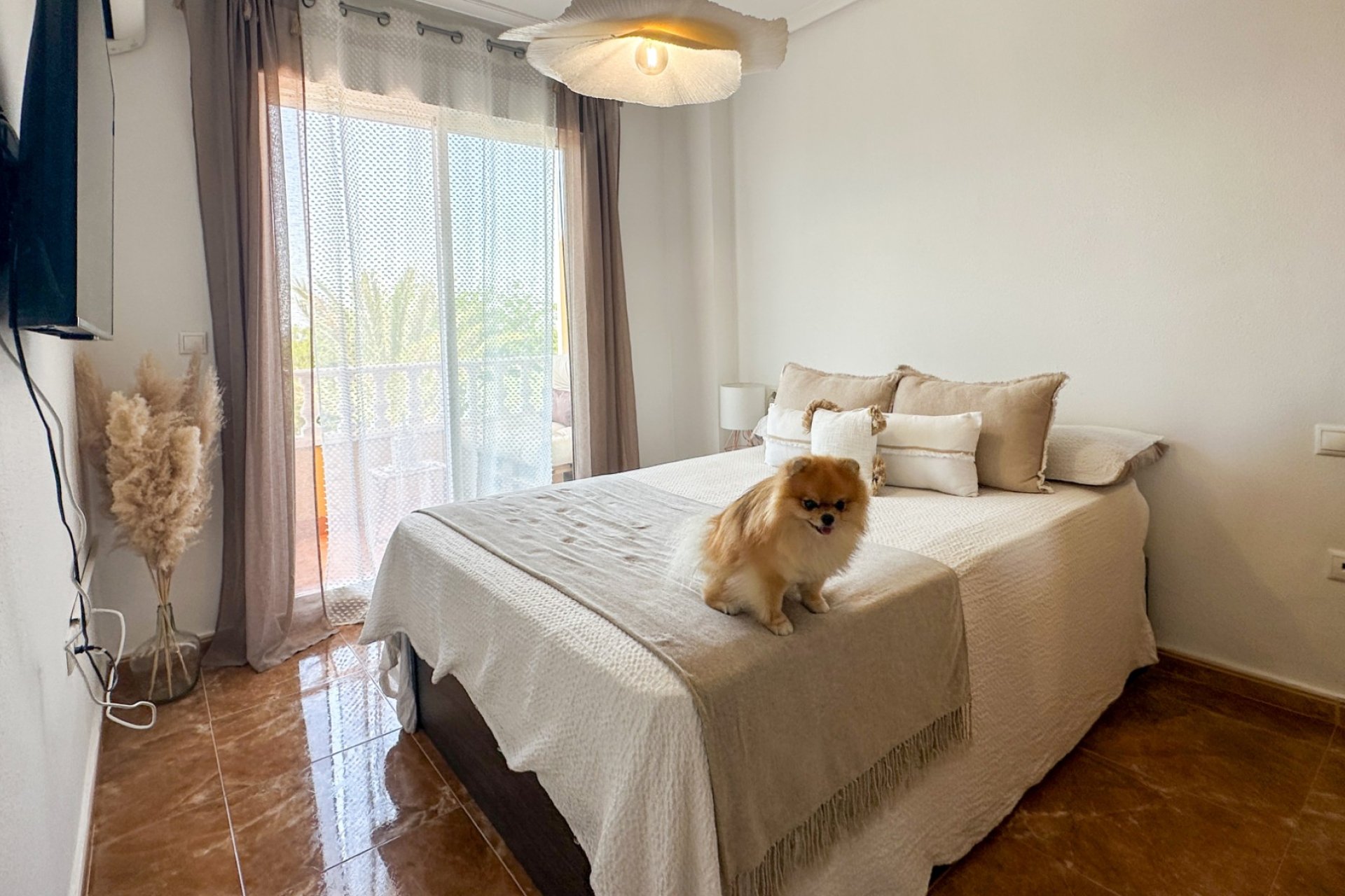 Revente - Appartement - Guardamar del Segura