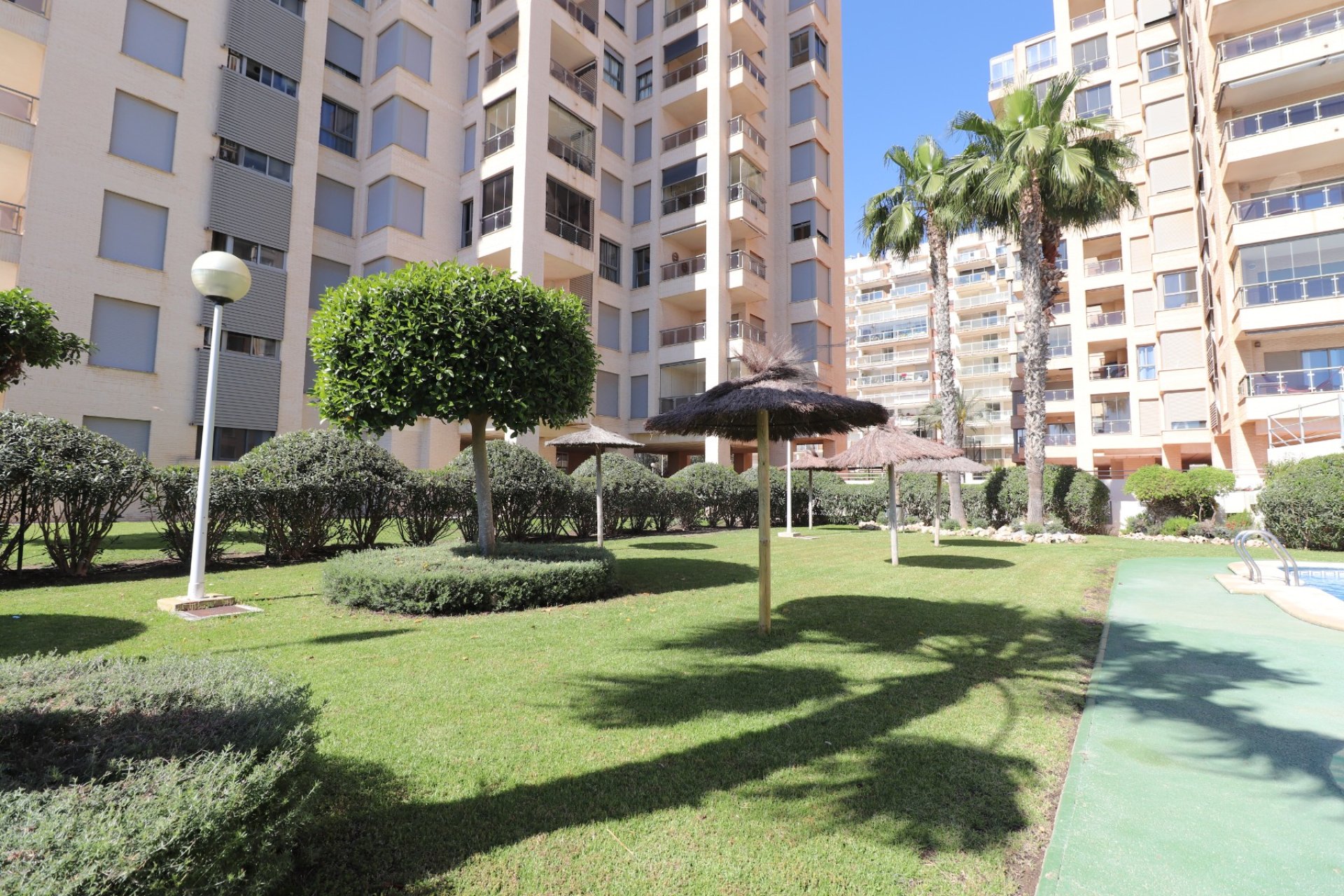 Revente - Appartement - Guardamar del Segura