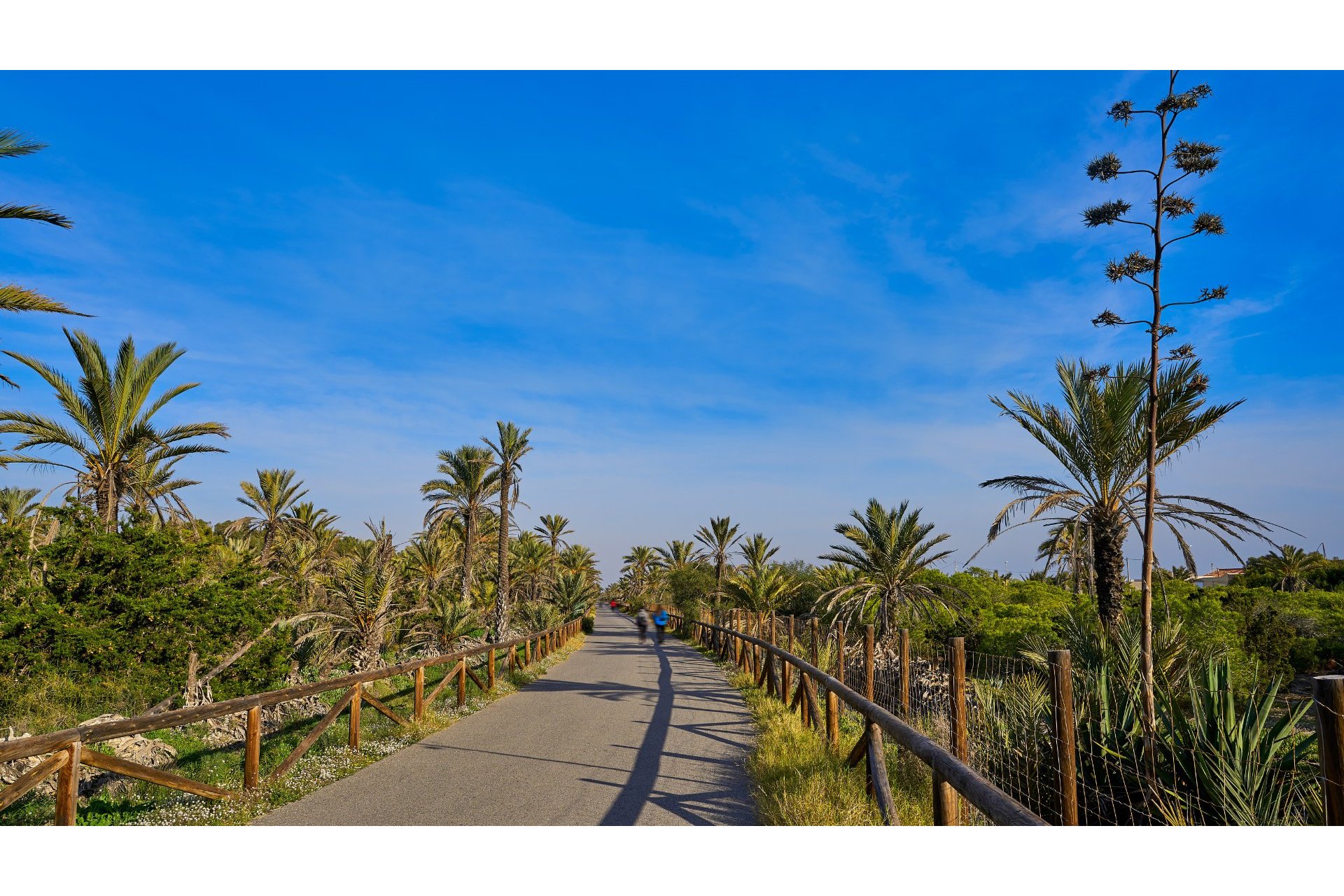 Revente - Appartement - Guardamar del Segura