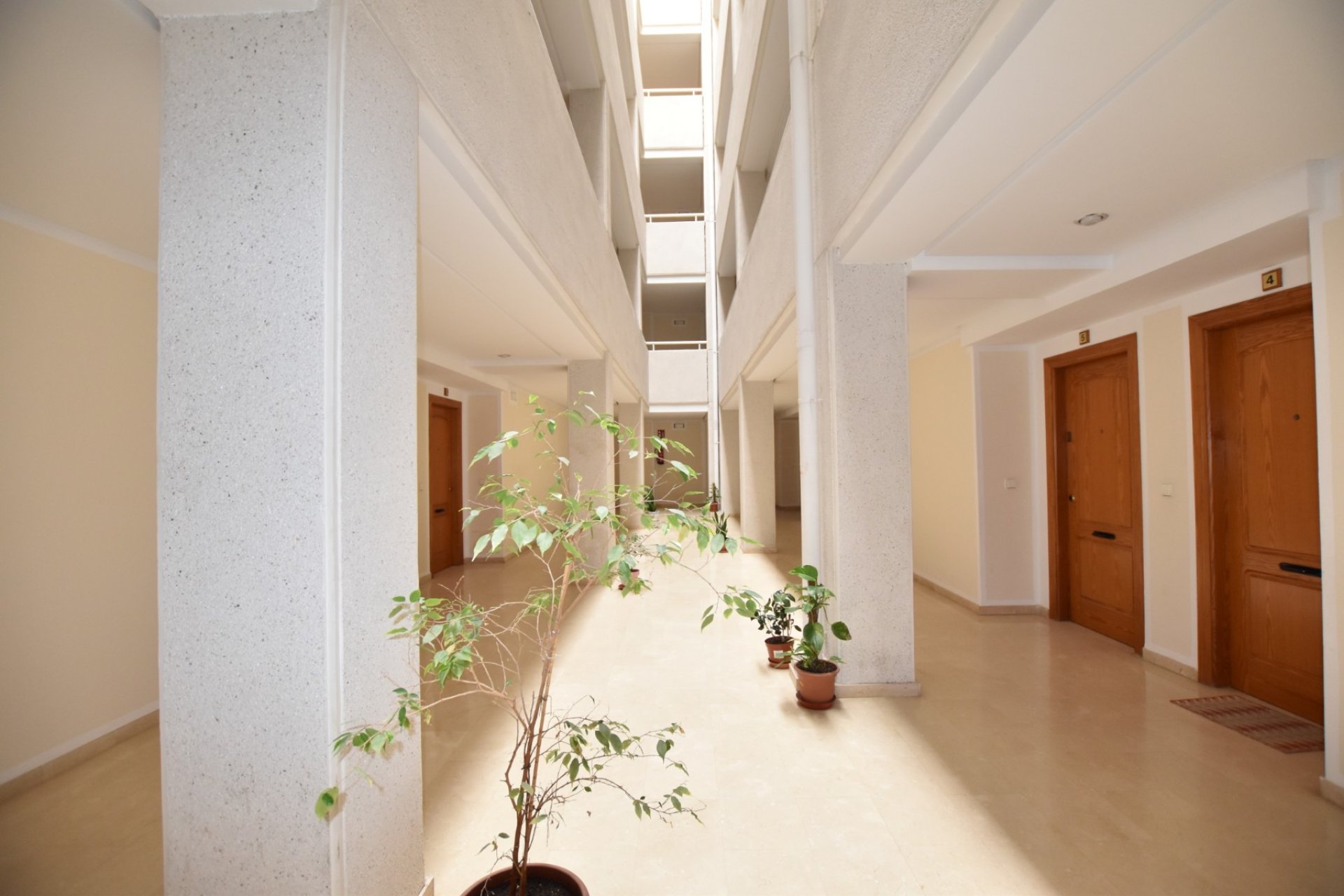 Revente - Appartement - La Mata