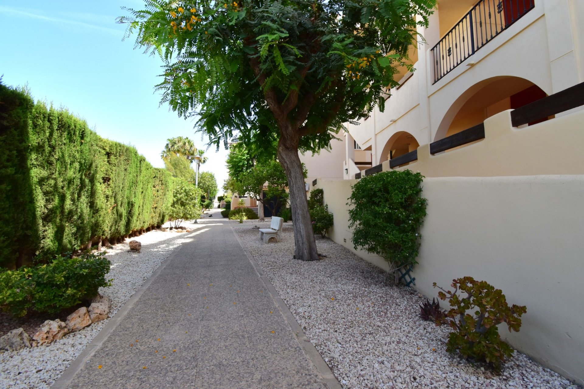 Revente - Appartement - Orihuela Costa - Playa Flamenca