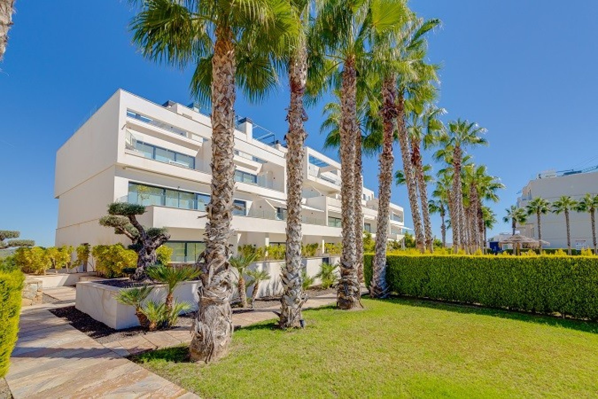 Revente - Appartement - Orihuela - Las Colinas golf