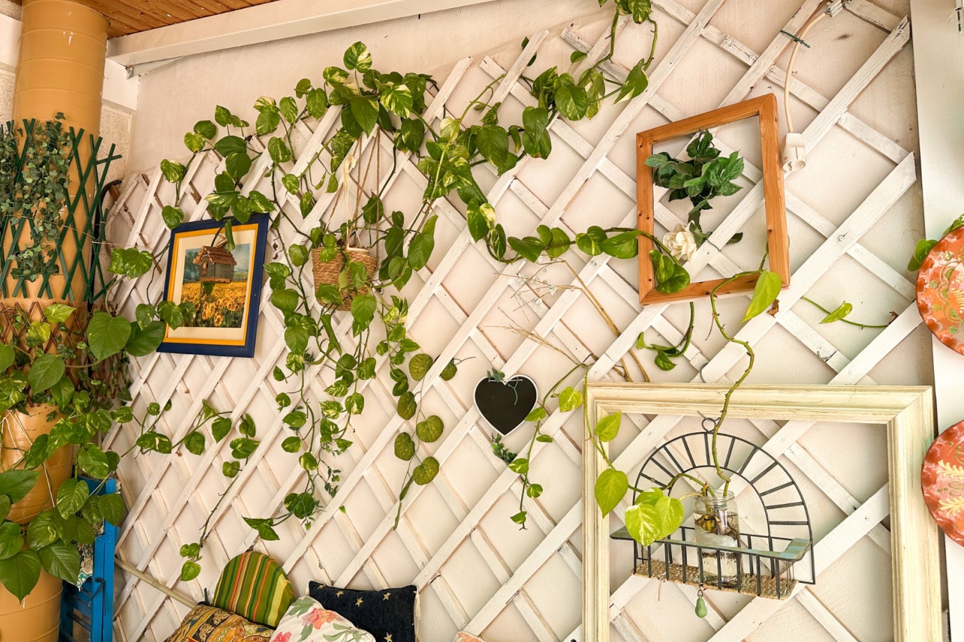 Revente - Appartement - Torrevieja - Center
