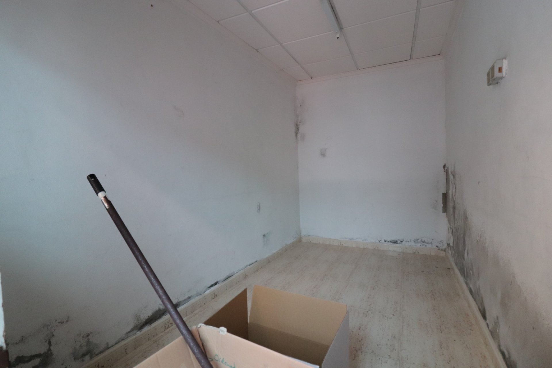 Revente - Commercial - Benijofar