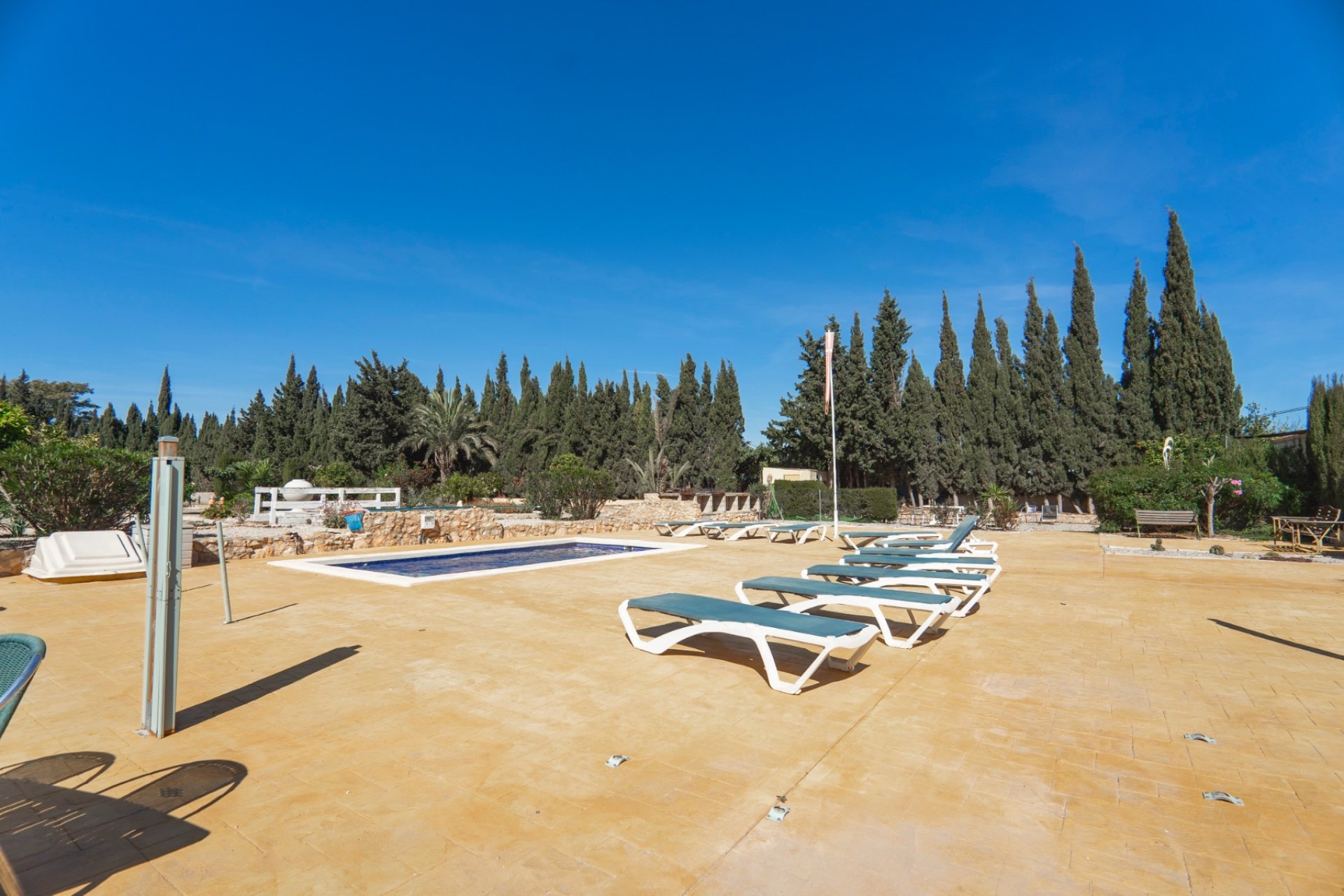 Revente - Finca rústica - Montesinos - Los Montesinos