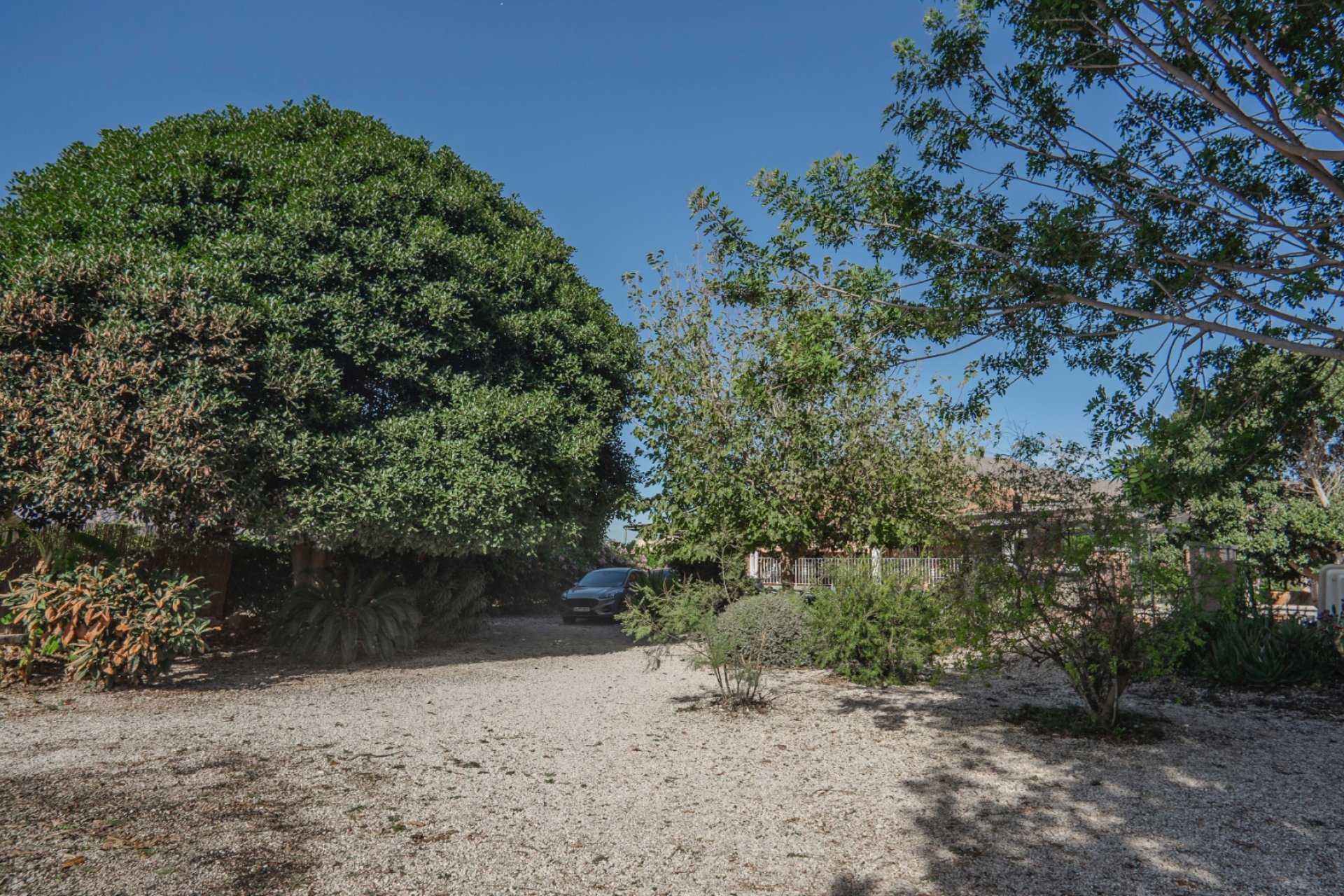 Revente - Finca rústica - Orihuela - San Bartolome