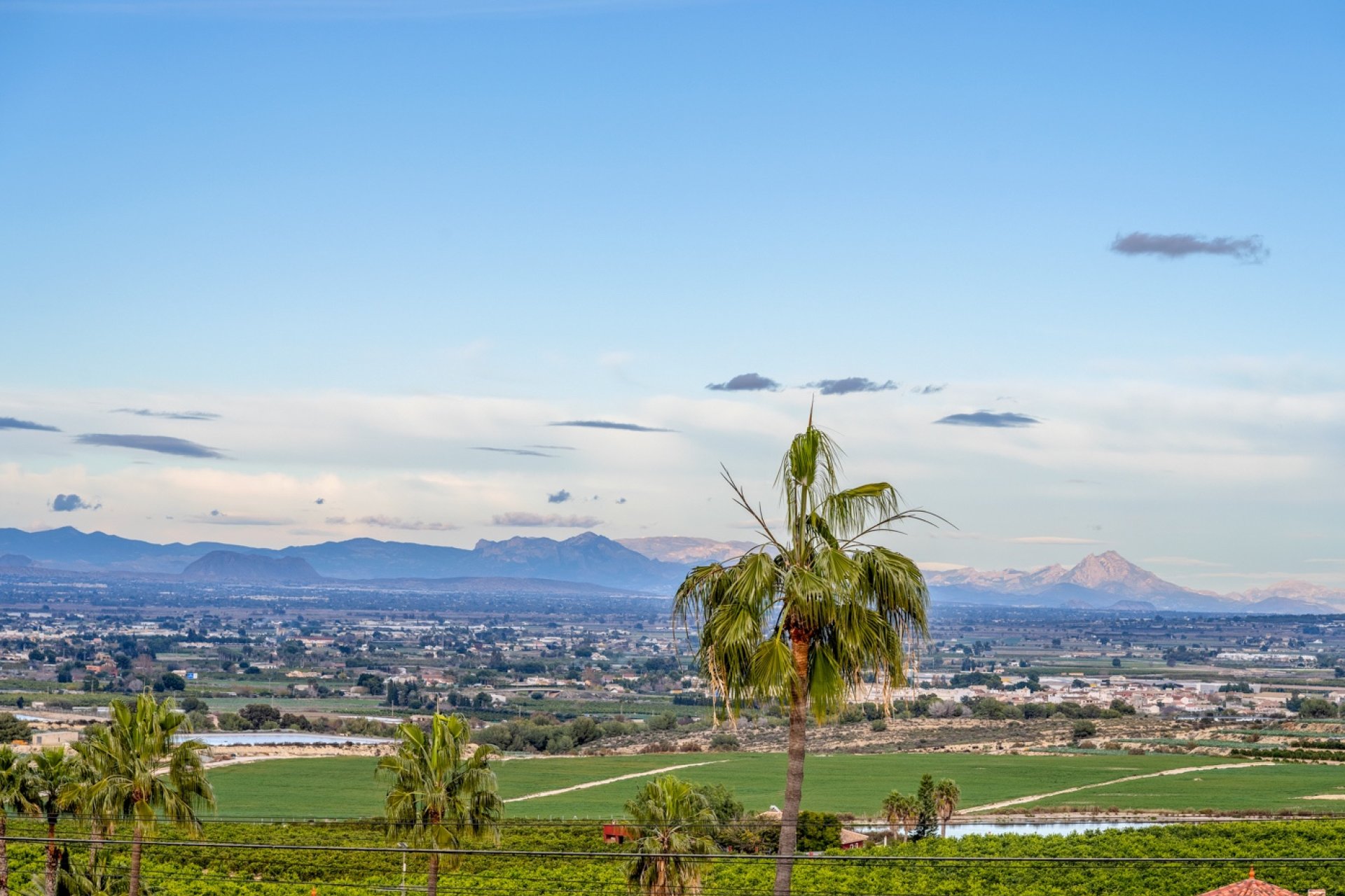 Revente - Maison de ville - Algorfa - Lomas De La Juliana