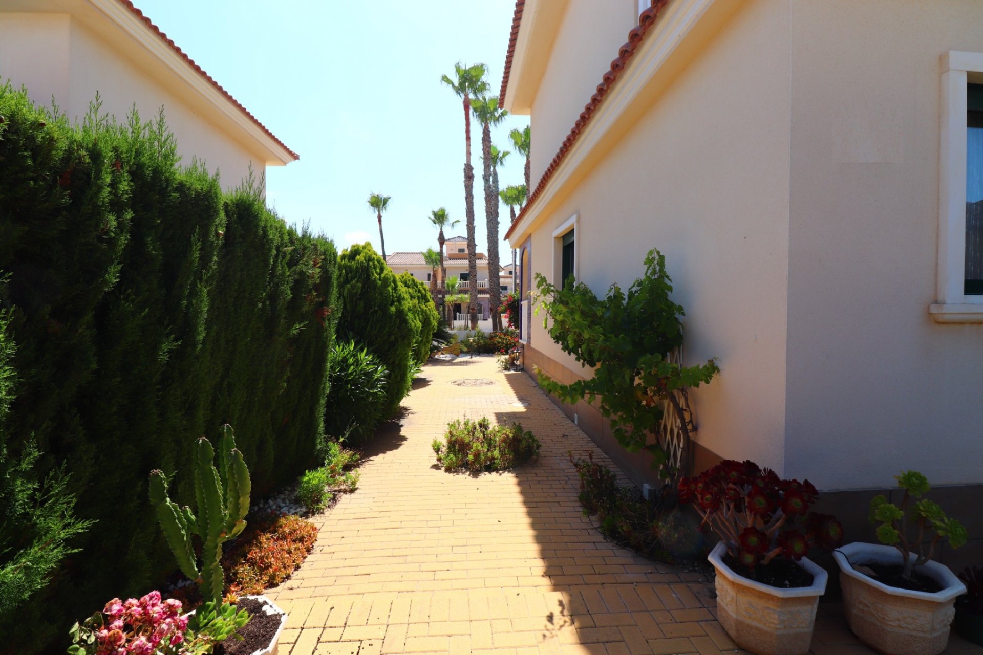 Revente - Maison de ville - Ciudad quesada - Doña Pepa