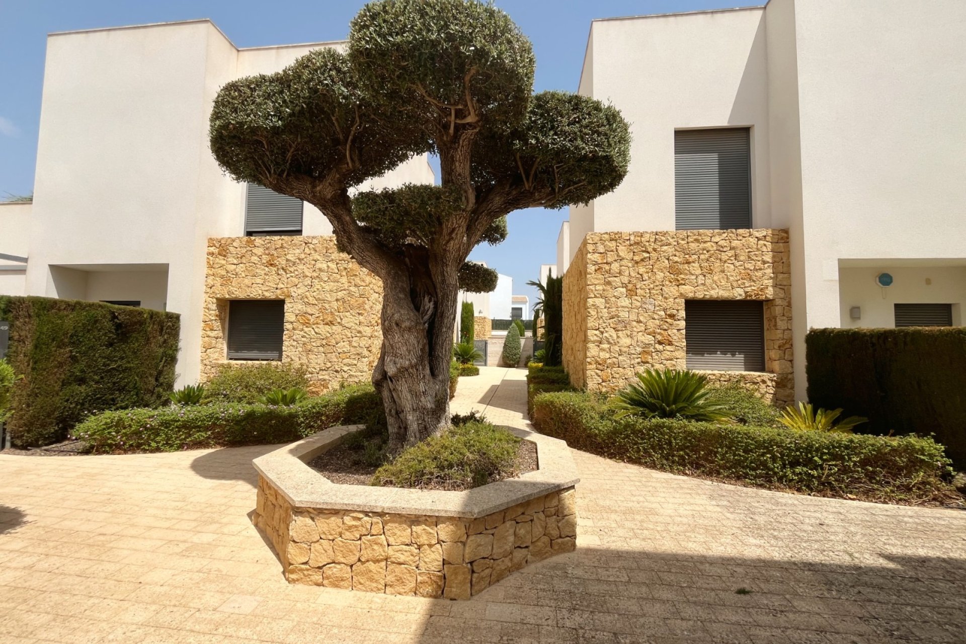 Revente - Maison de ville - Ciudad quesada - Pueblo Bravo