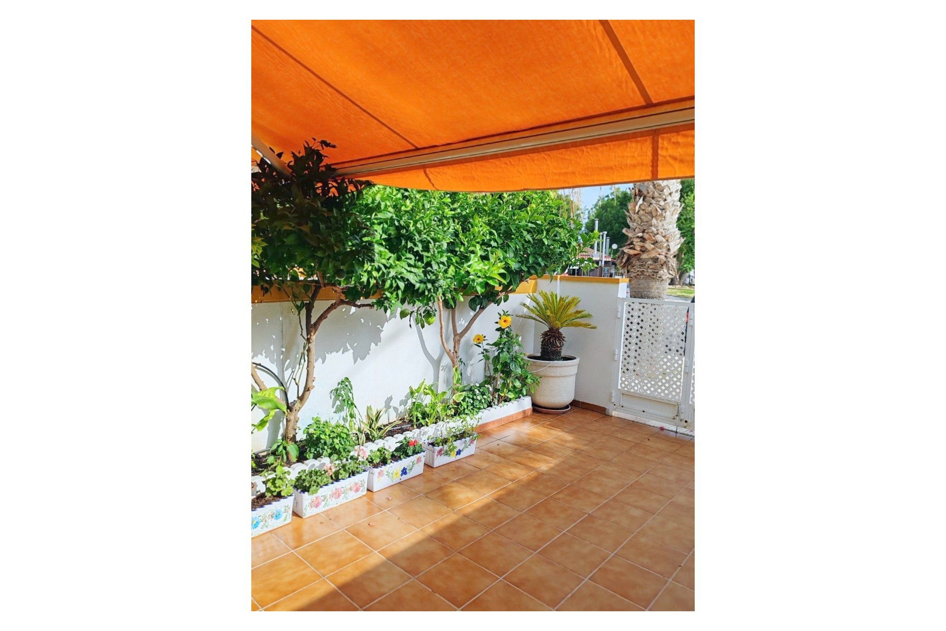 Revente - Maison de ville - Los Alcazares