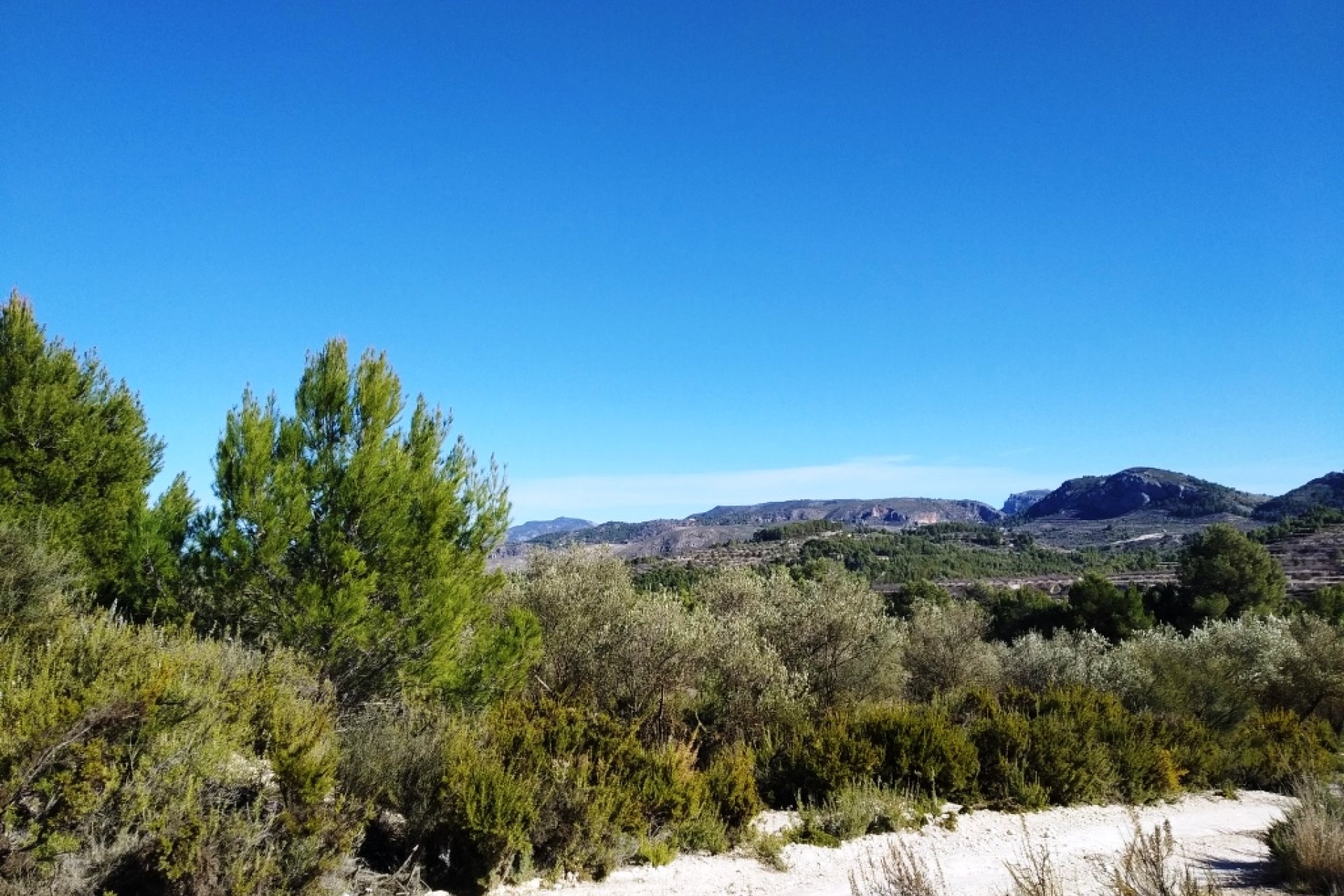 Revente - Parcelle / Terrain - Benimarfull